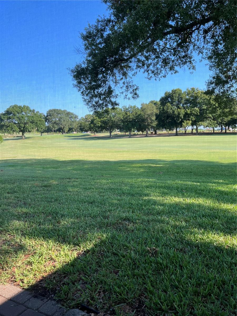 9791 SW 96TH ST, OCALA, FL, 34481