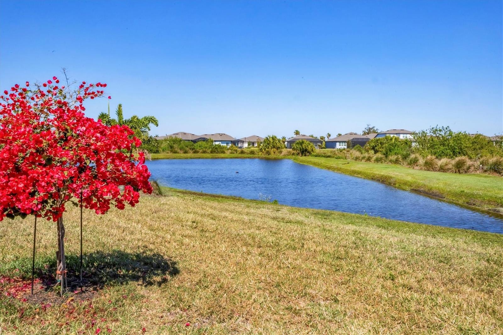 10519 SPRING TIDE WAY, PARRISH, FL, 34219