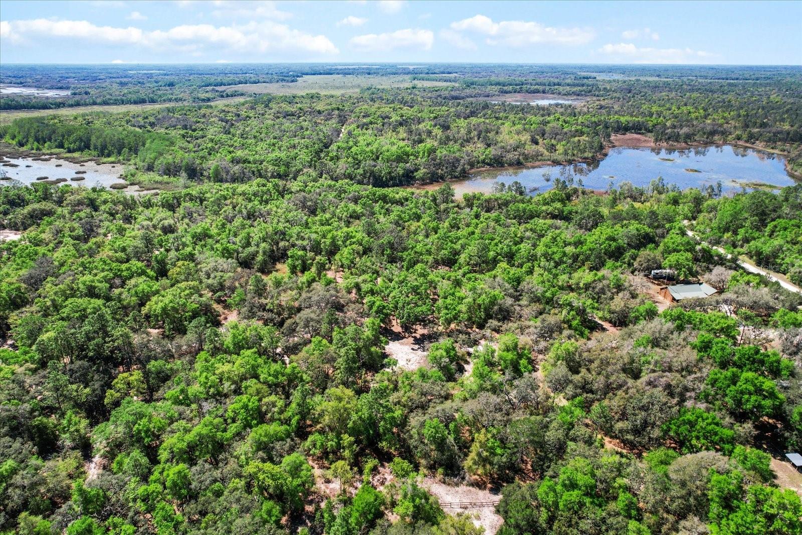 10714 E ASHWOOD LN, INVERNESS, FL, 34450