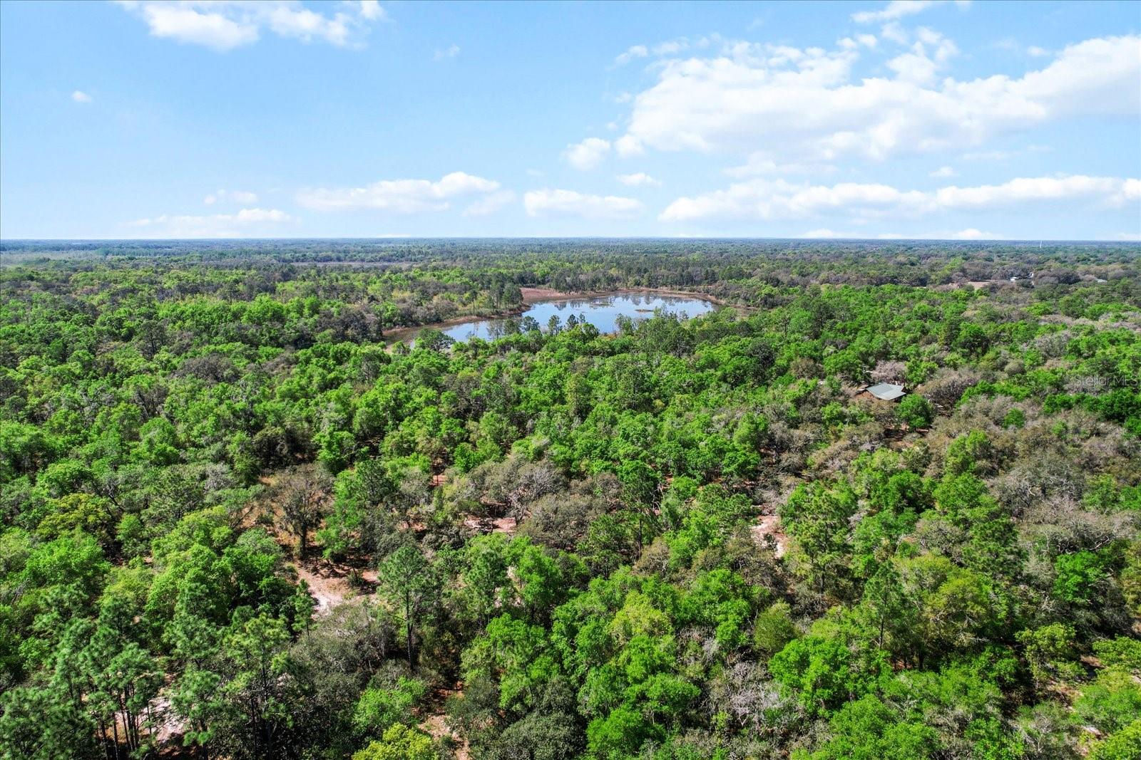 10714 E ASHWOOD LN, INVERNESS, FL, 34450