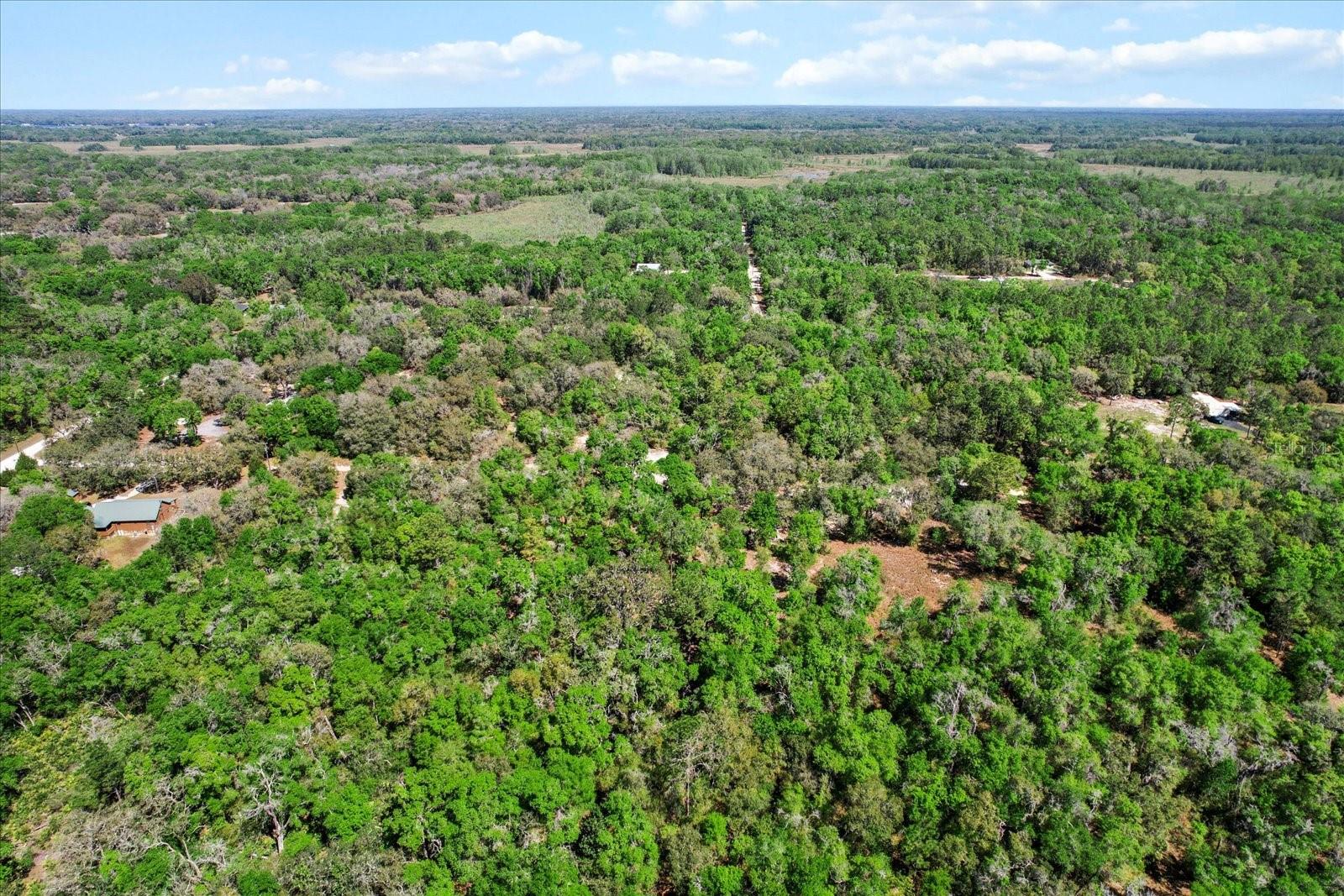 10714 E ASHWOOD LN, INVERNESS, FL, 34450