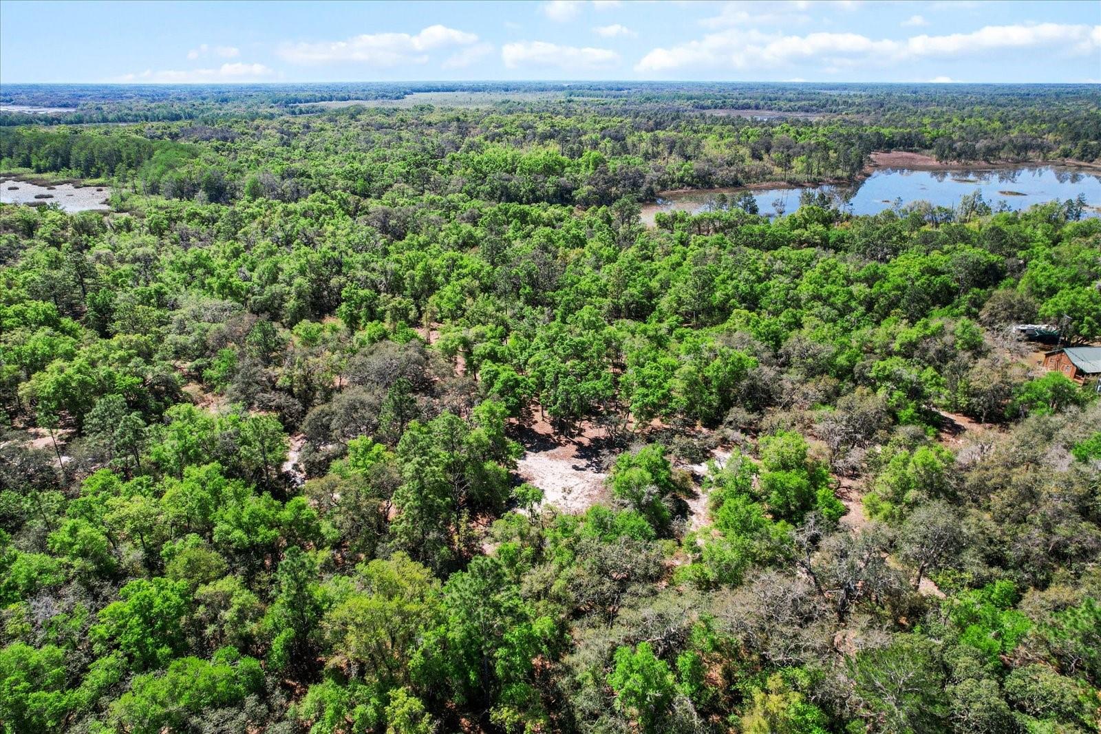 10714 E ASHWOOD LN, INVERNESS, FL, 34450