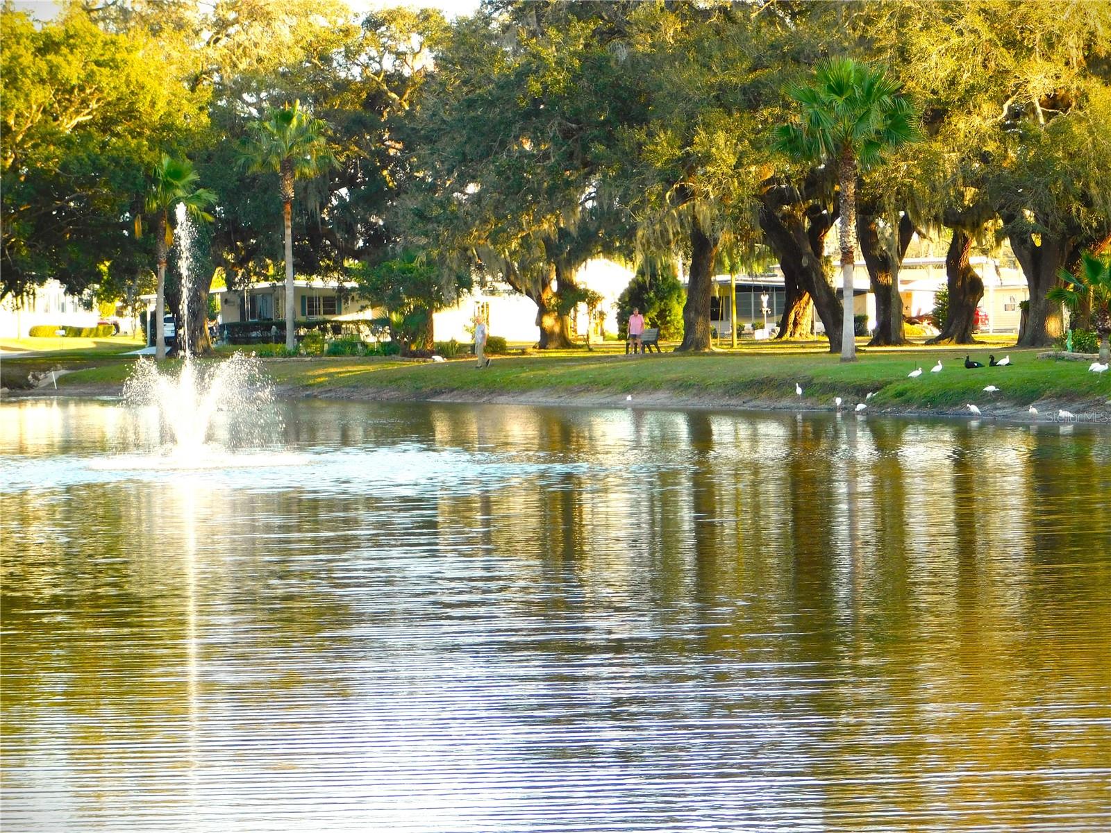 5244 BETTY ST, ZEPHYRHILLS, FL, 33542