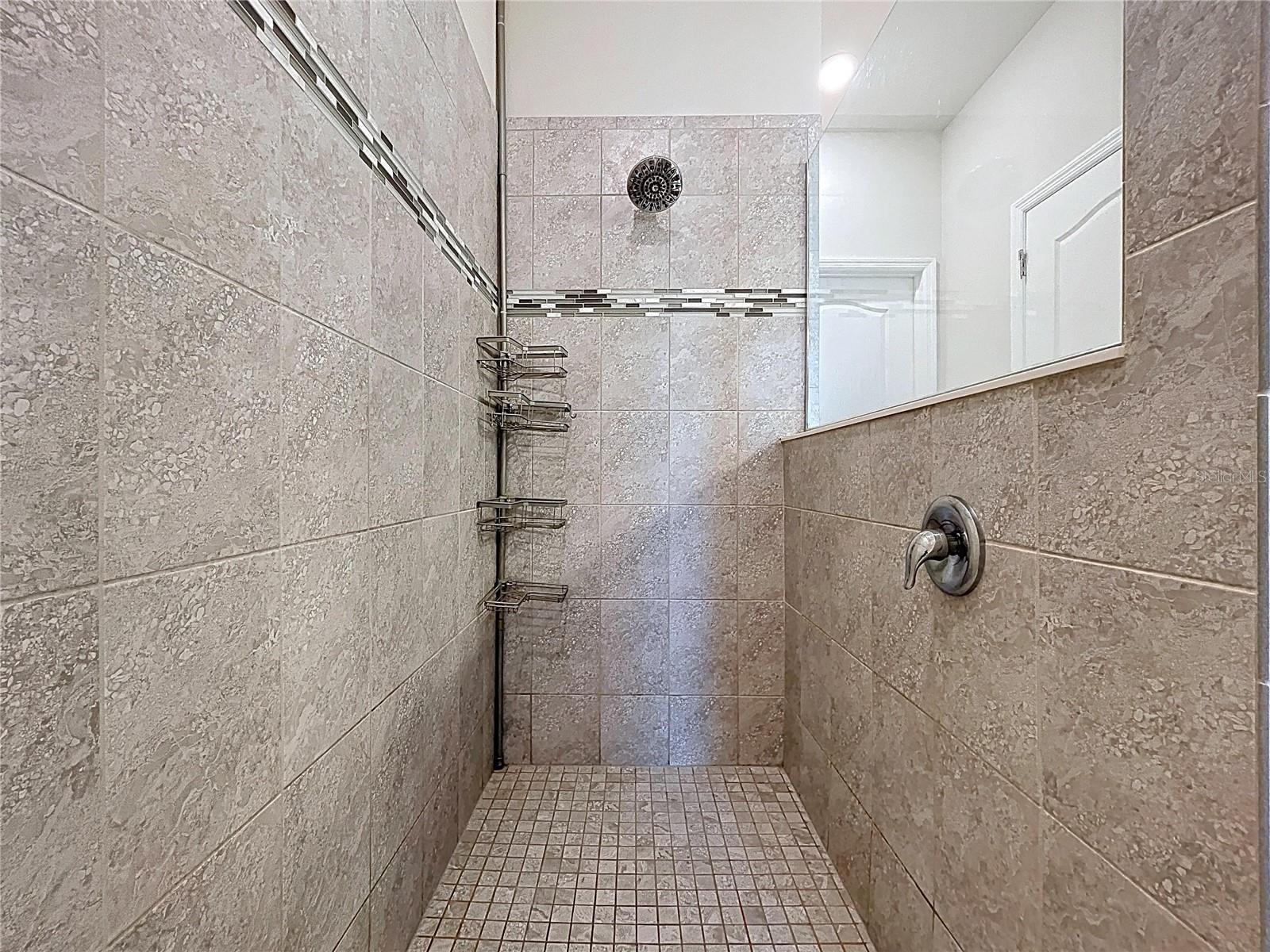 9684 IBIS GROVE BLVD, WESLEY CHAPEL, FL, 33545