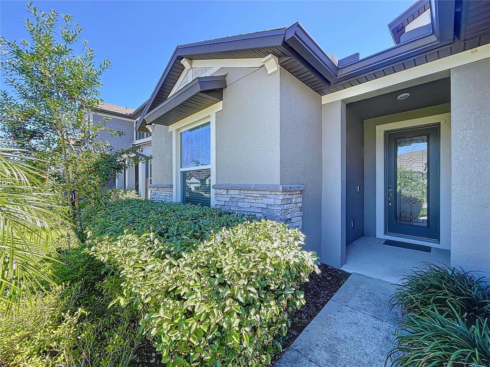 9684 IBIS GROVE BLVD, WESLEY CHAPEL, FL, 33545