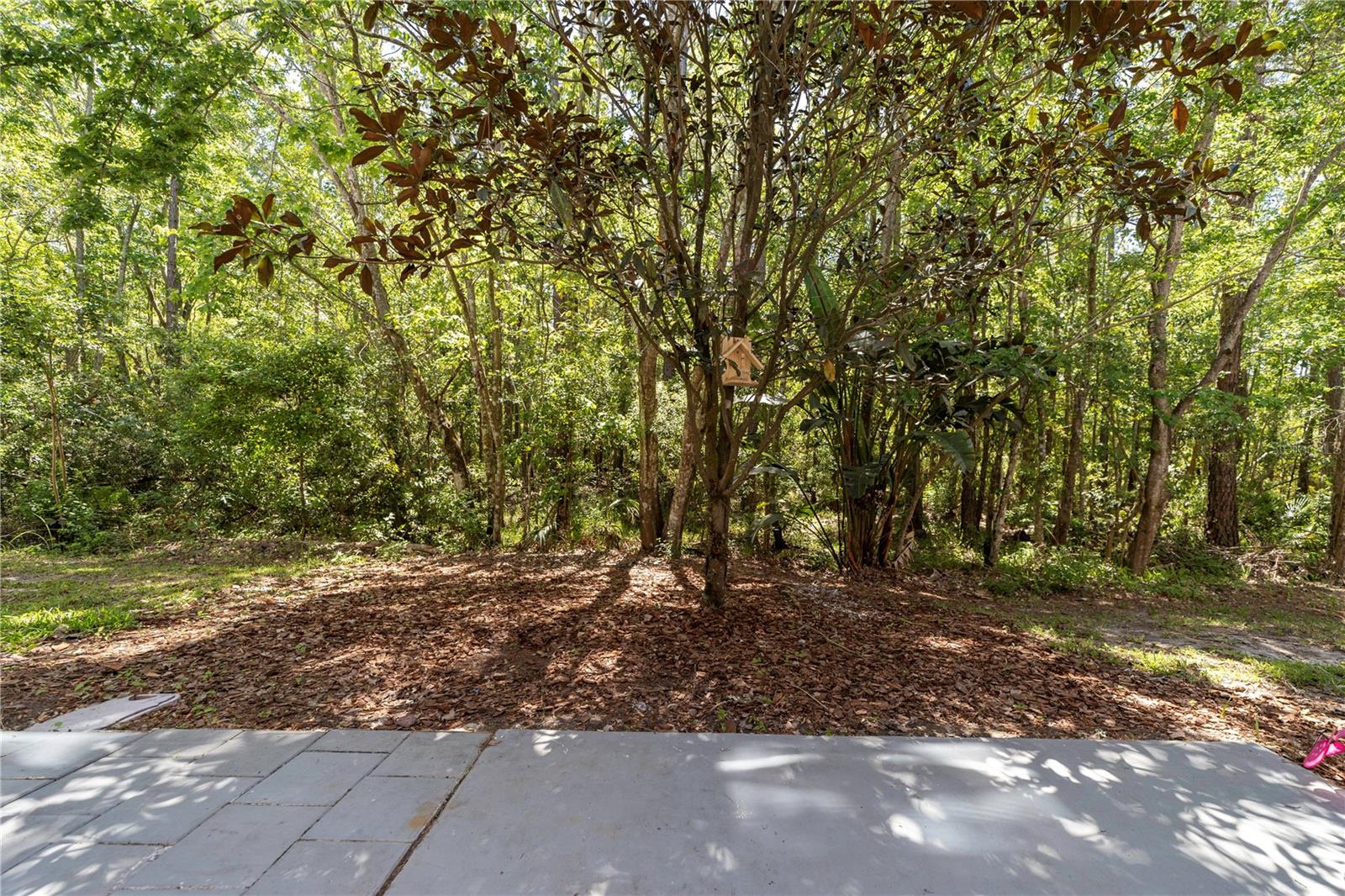 5044 MATTEO TRL, ORLANDO, FL, 32839