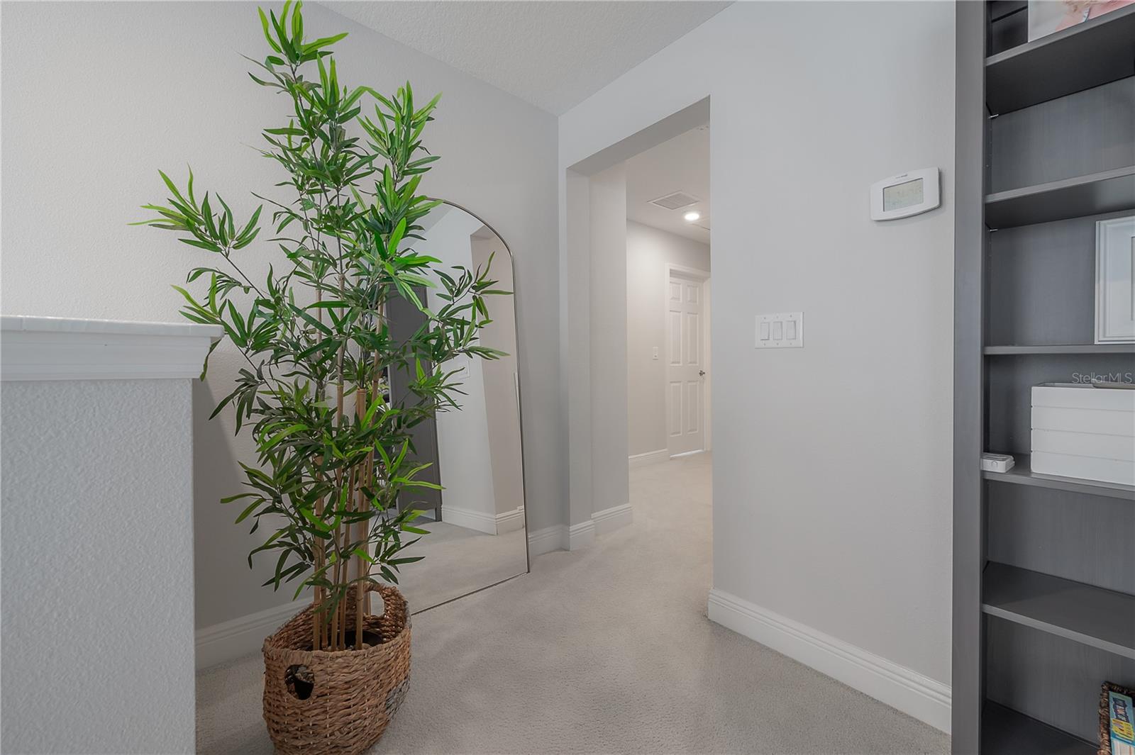 11633 SWEET TANGERINE LN, TAMPA, FL, 33626