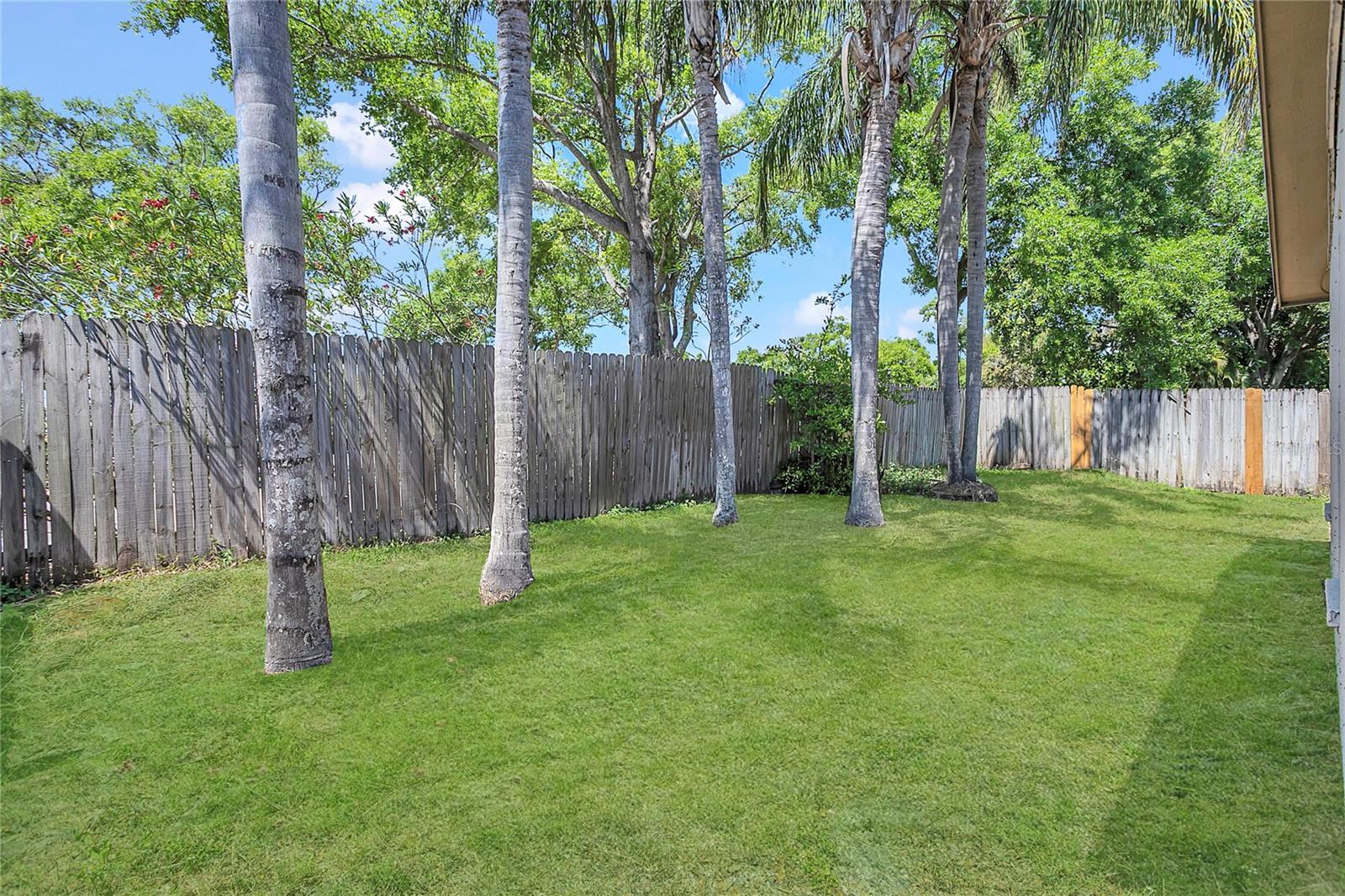 1431 SCOTCH PINE DR, BRANDON, FL, 33511