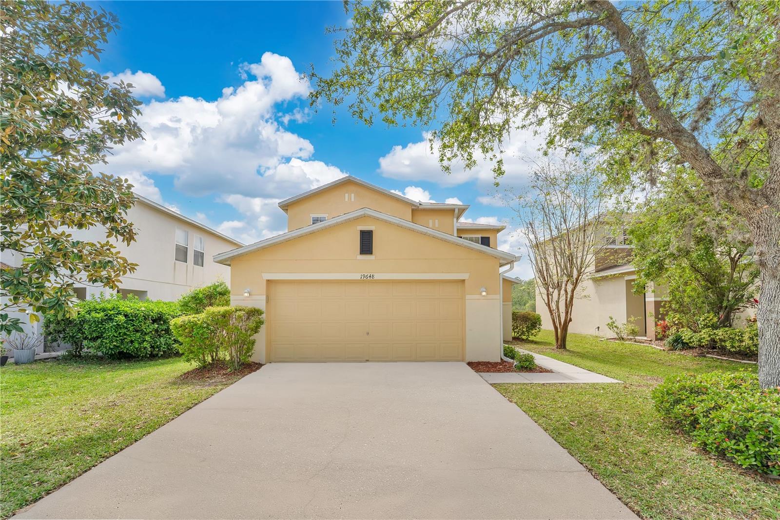 19648 TIMBERBLUFF DR, LAND O LAKES, FL, 34638