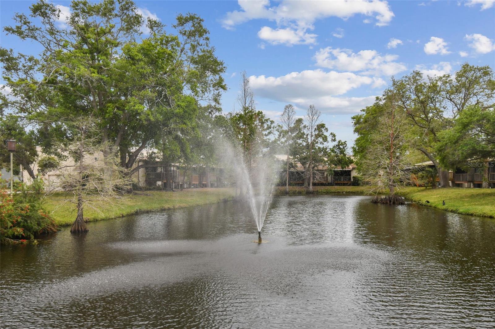 6343 92ND PL N #2102, PINELLAS PARK, FL, 33782