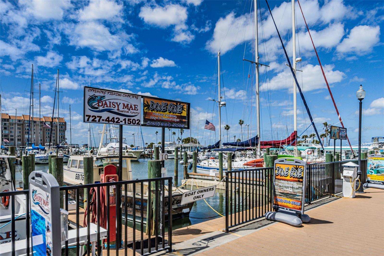 620 EDGEWATER DR #501, DUNEDIN, FL, 34698