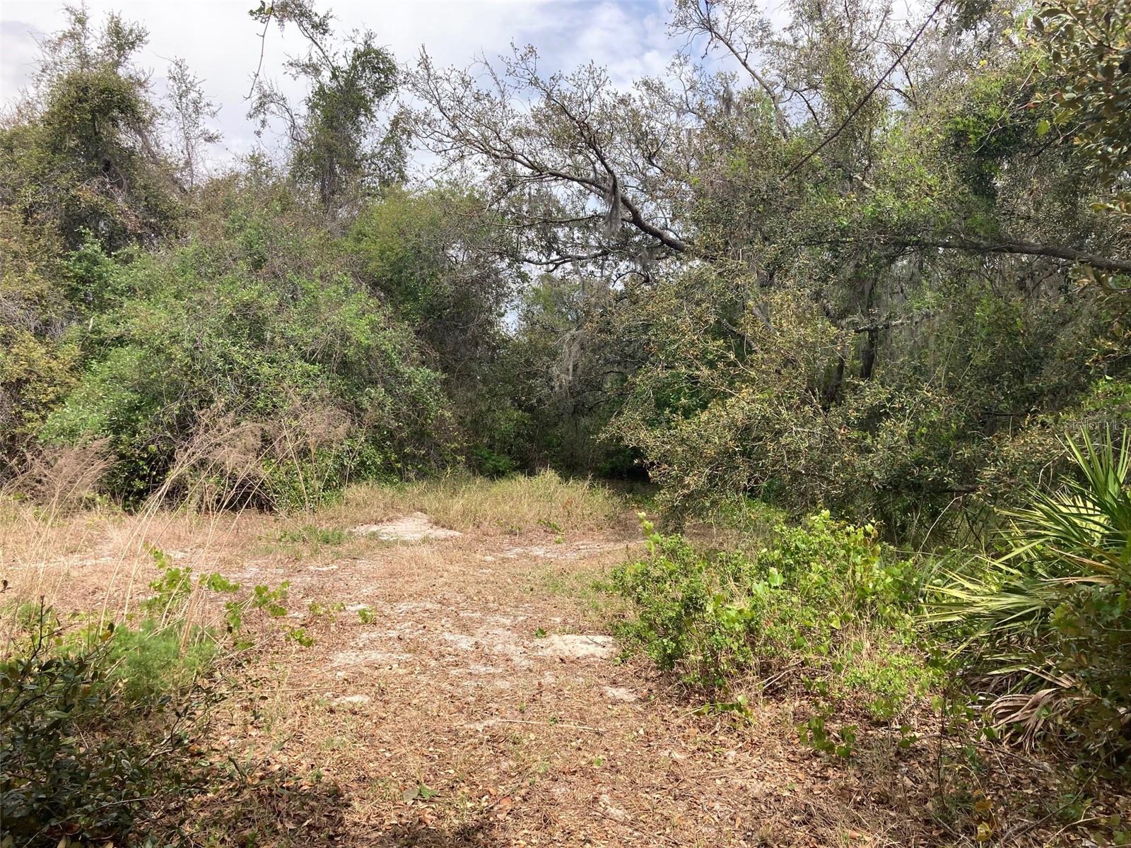 PINETREE DR, LAKE WALES, FL, 33898