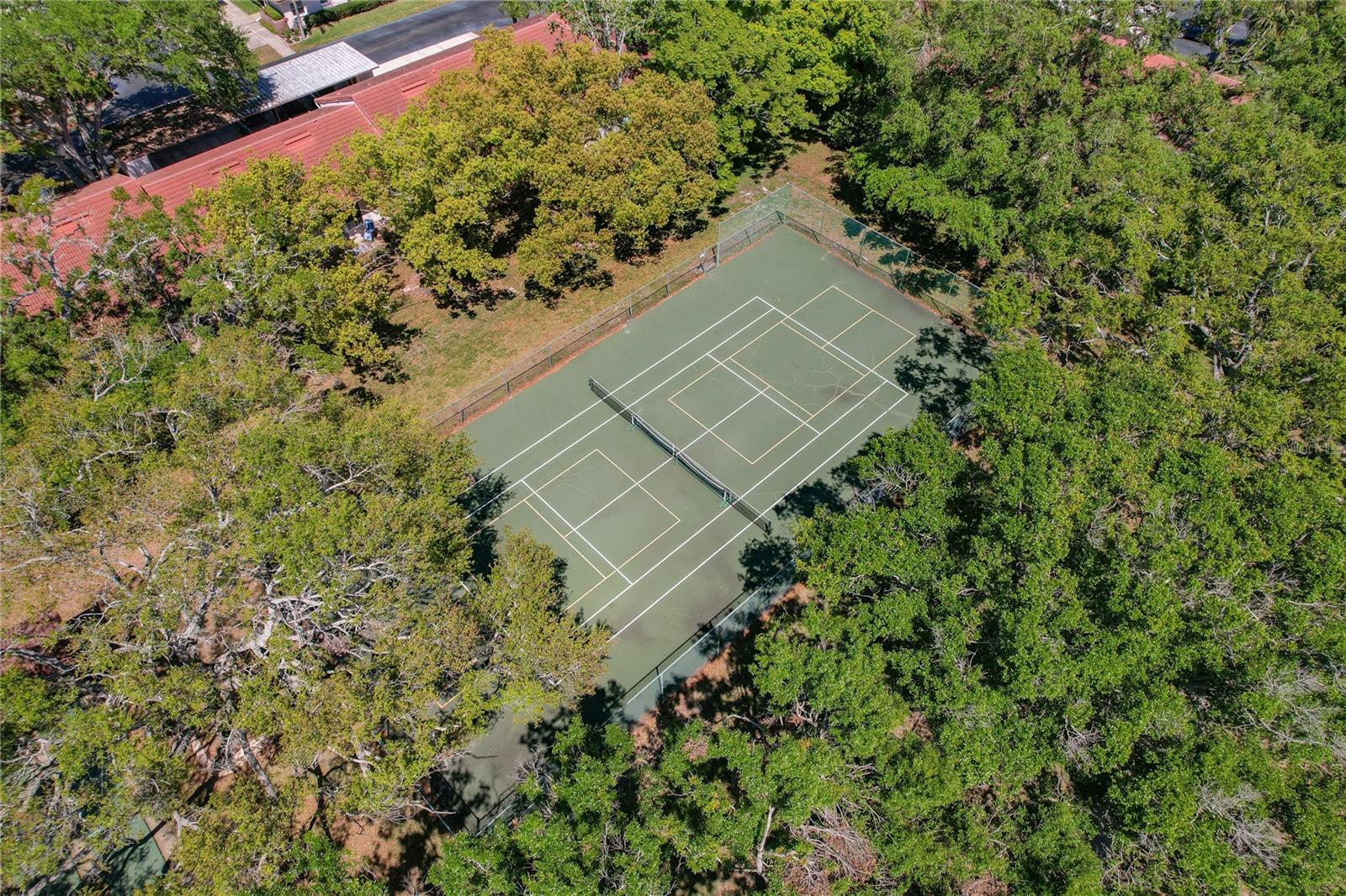 1365 CARLISLE CT, DUNEDIN, FL, 34698