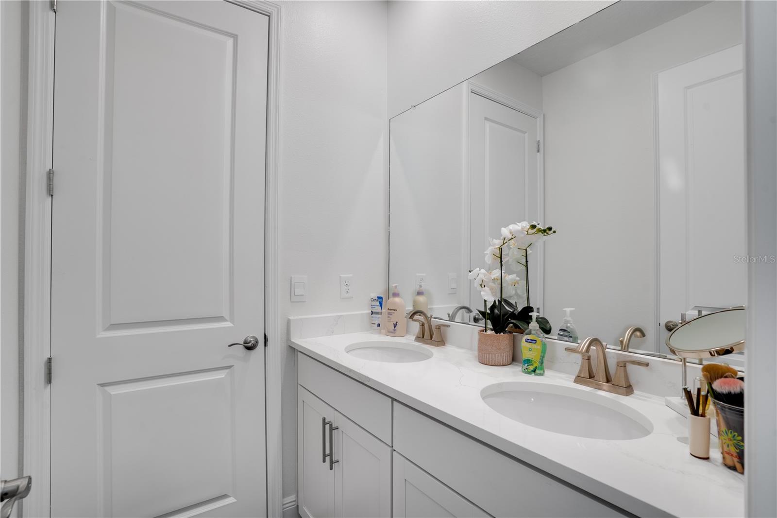 23231 SCAGLIONE DR, LUTZ, FL, 33549