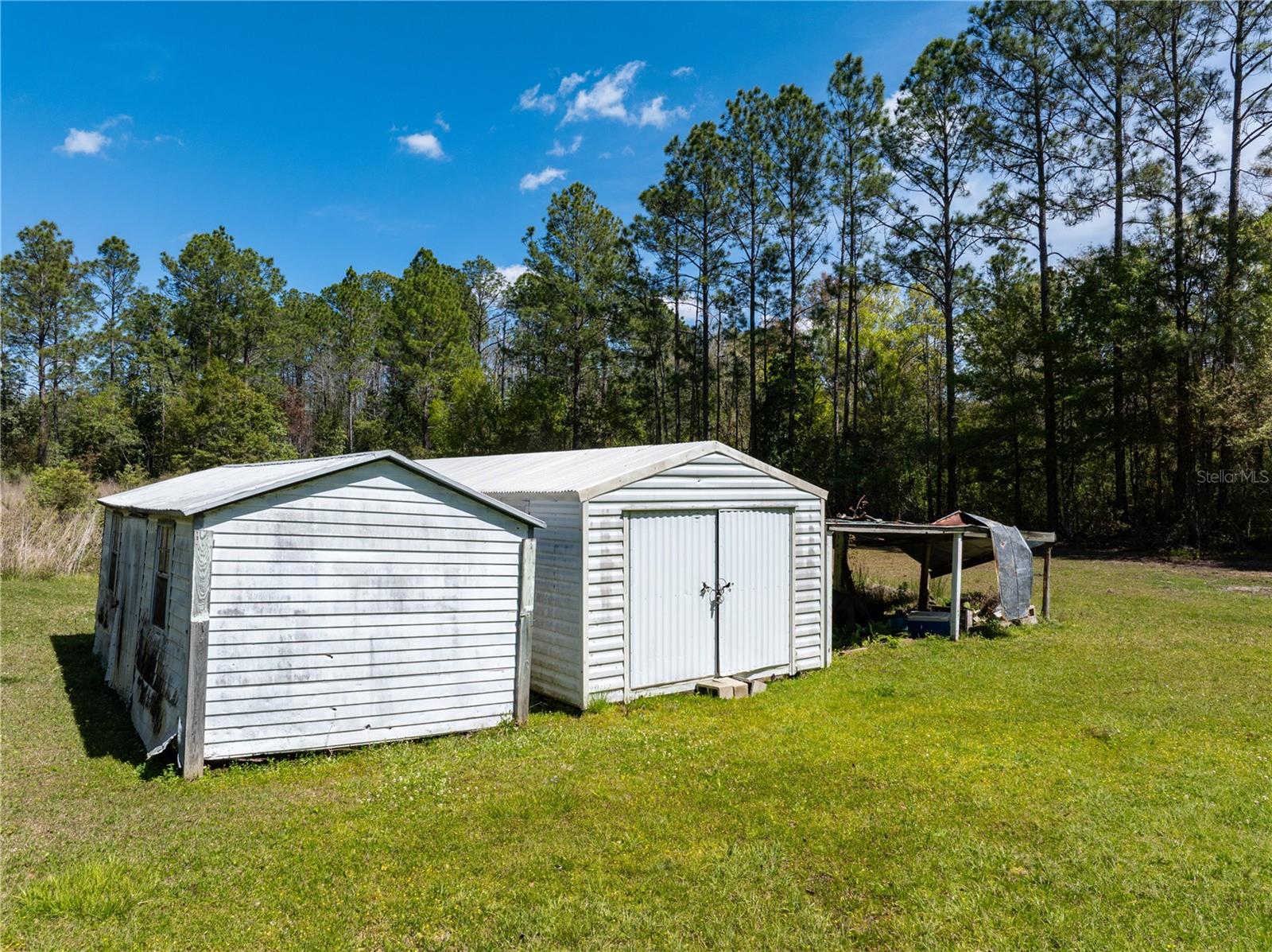 22463 NE 149TH ST, RAIFORD, FL, 32083