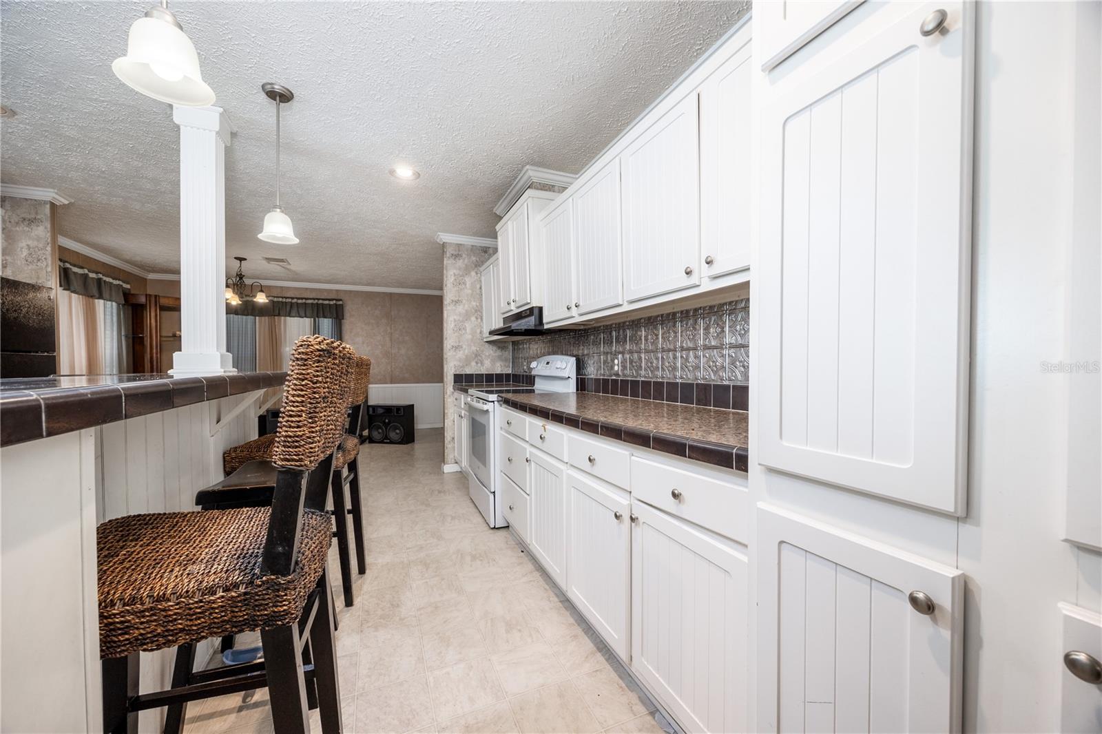 22463 NE 149TH ST, RAIFORD, FL, 32083