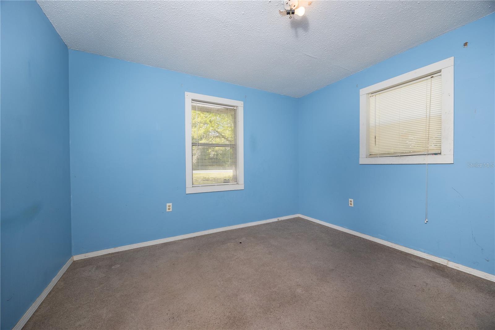 22463 NE 149TH ST, RAIFORD, FL, 32083