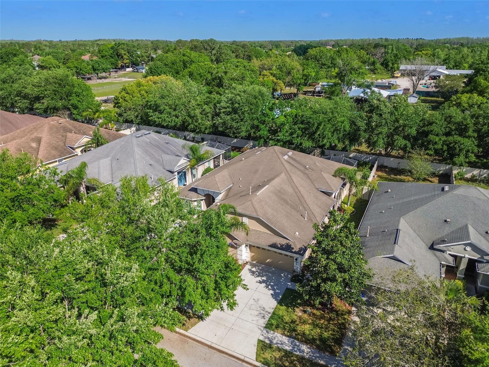20761 AMANDA OAK CT, LAND O LAKES, FL, 34638