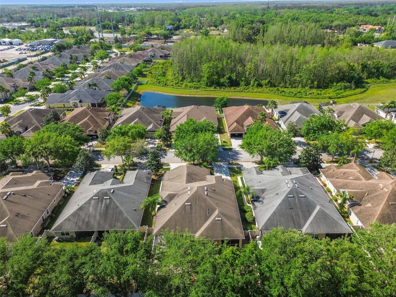 20761 AMANDA OAK CT, LAND O LAKES, FL, 34638