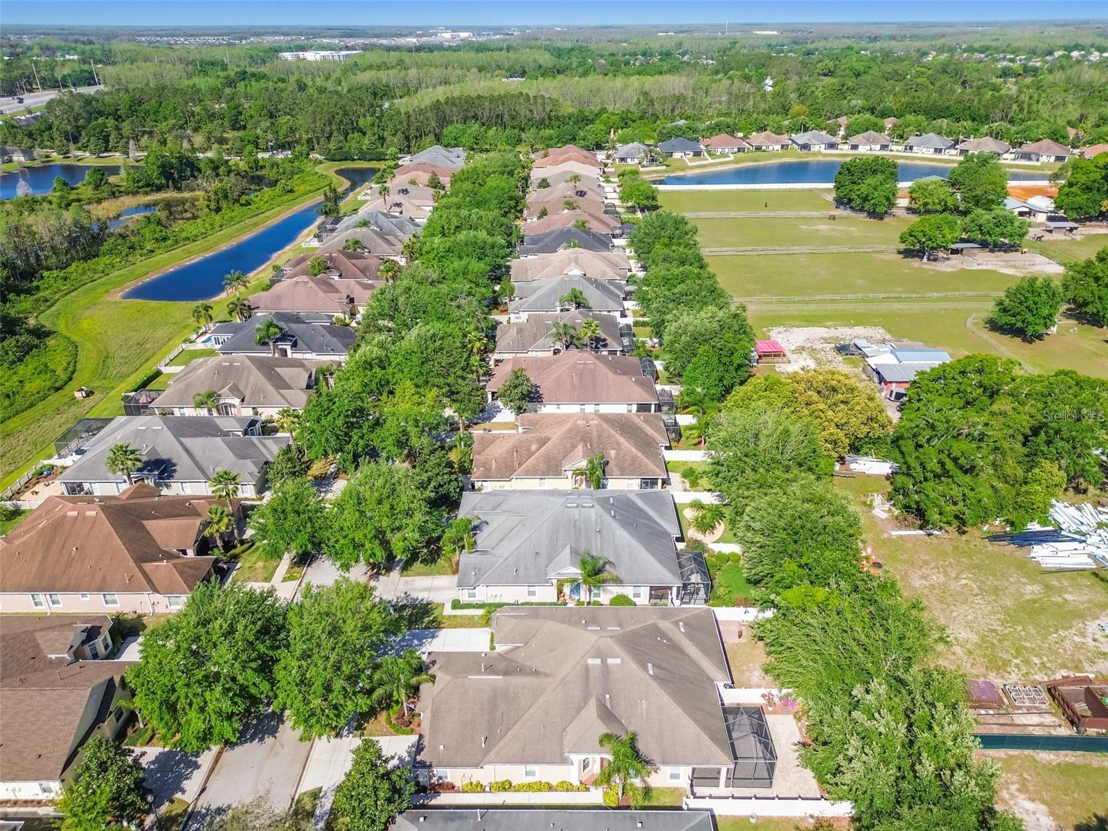 20761 AMANDA OAK CT, LAND O LAKES, FL, 34638
