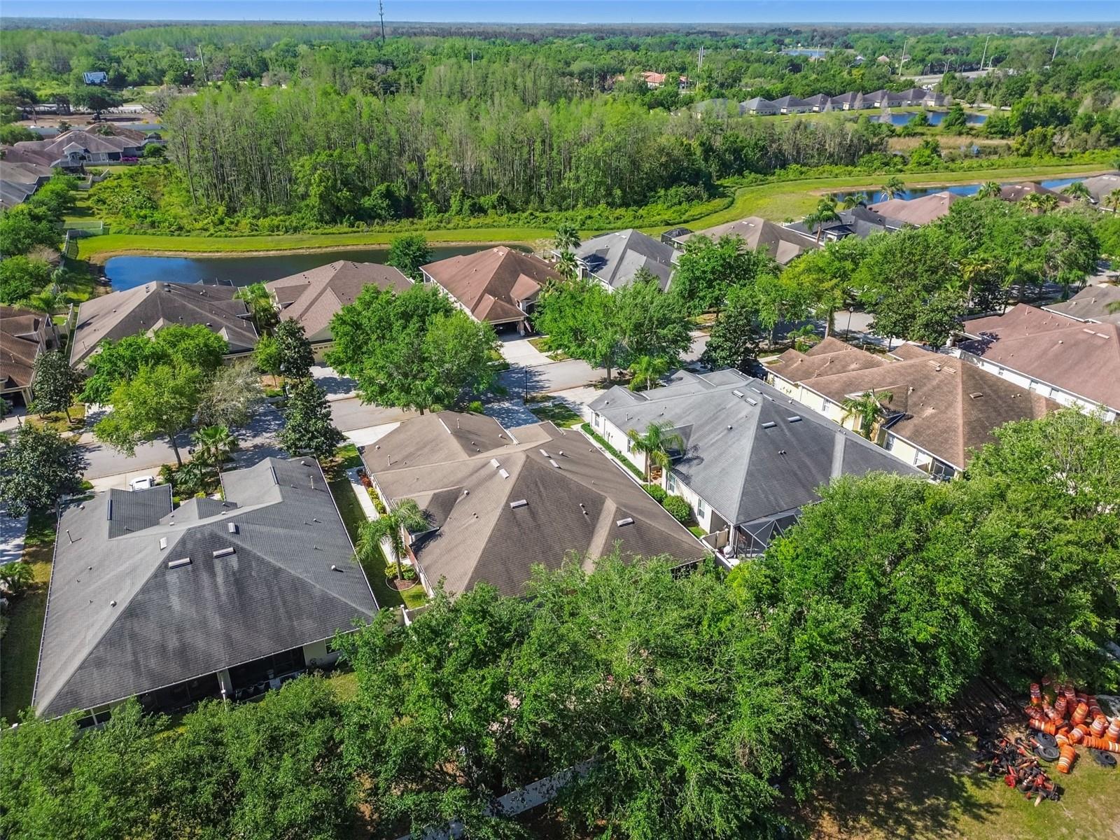 20761 AMANDA OAK CT, LAND O LAKES, FL, 34638