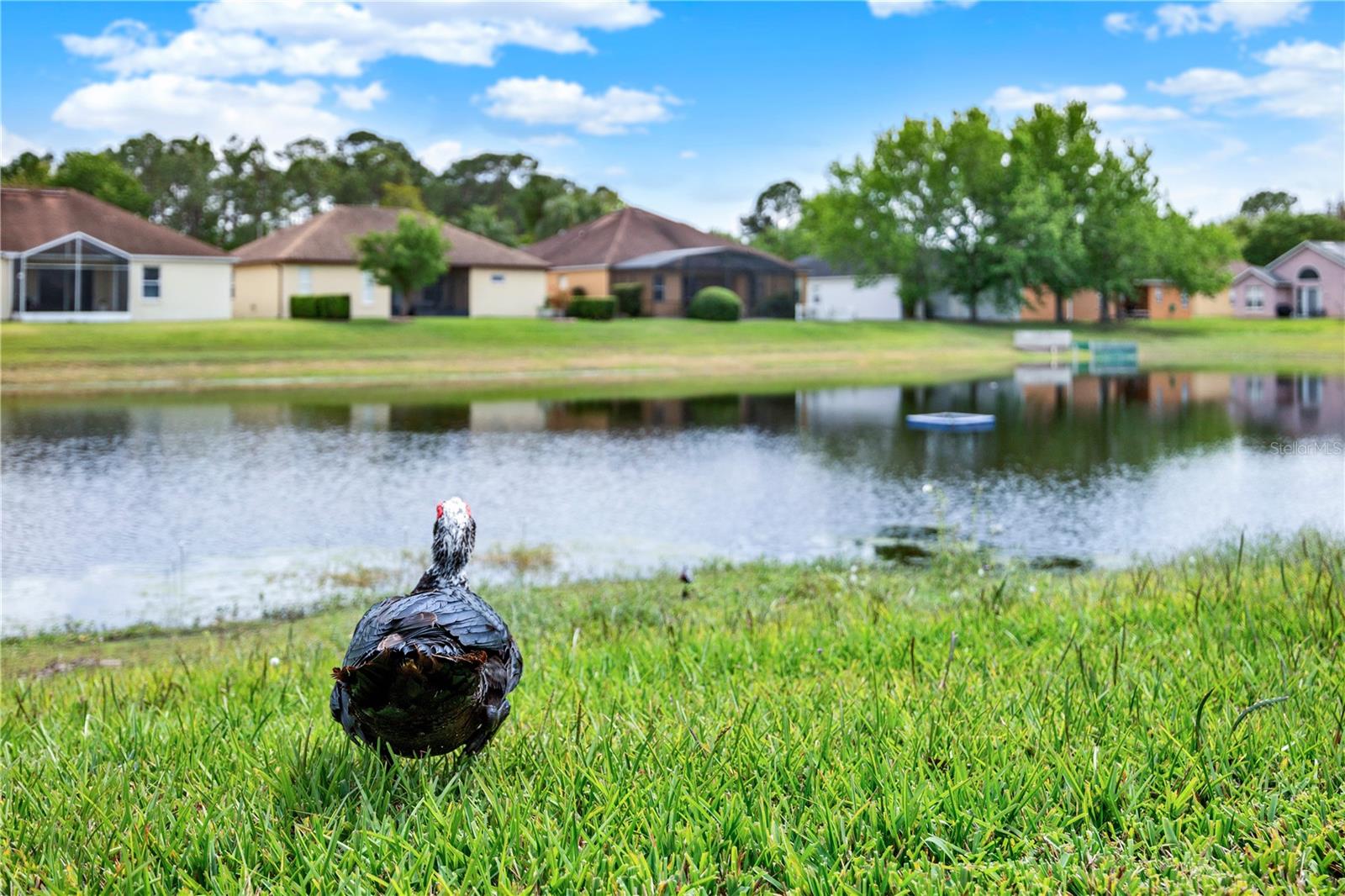 9920 KONA ISLE CT, ORLANDO, FL, 32817