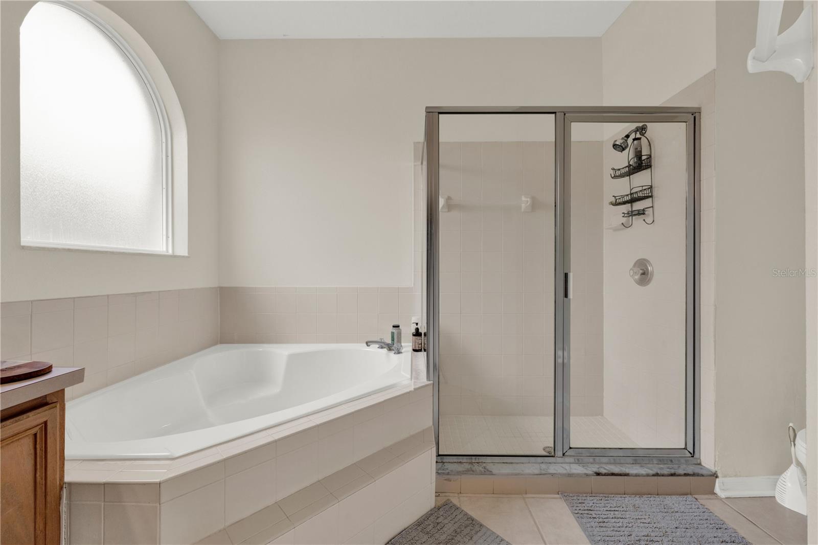 9920 KONA ISLE CT, ORLANDO, FL, 32817