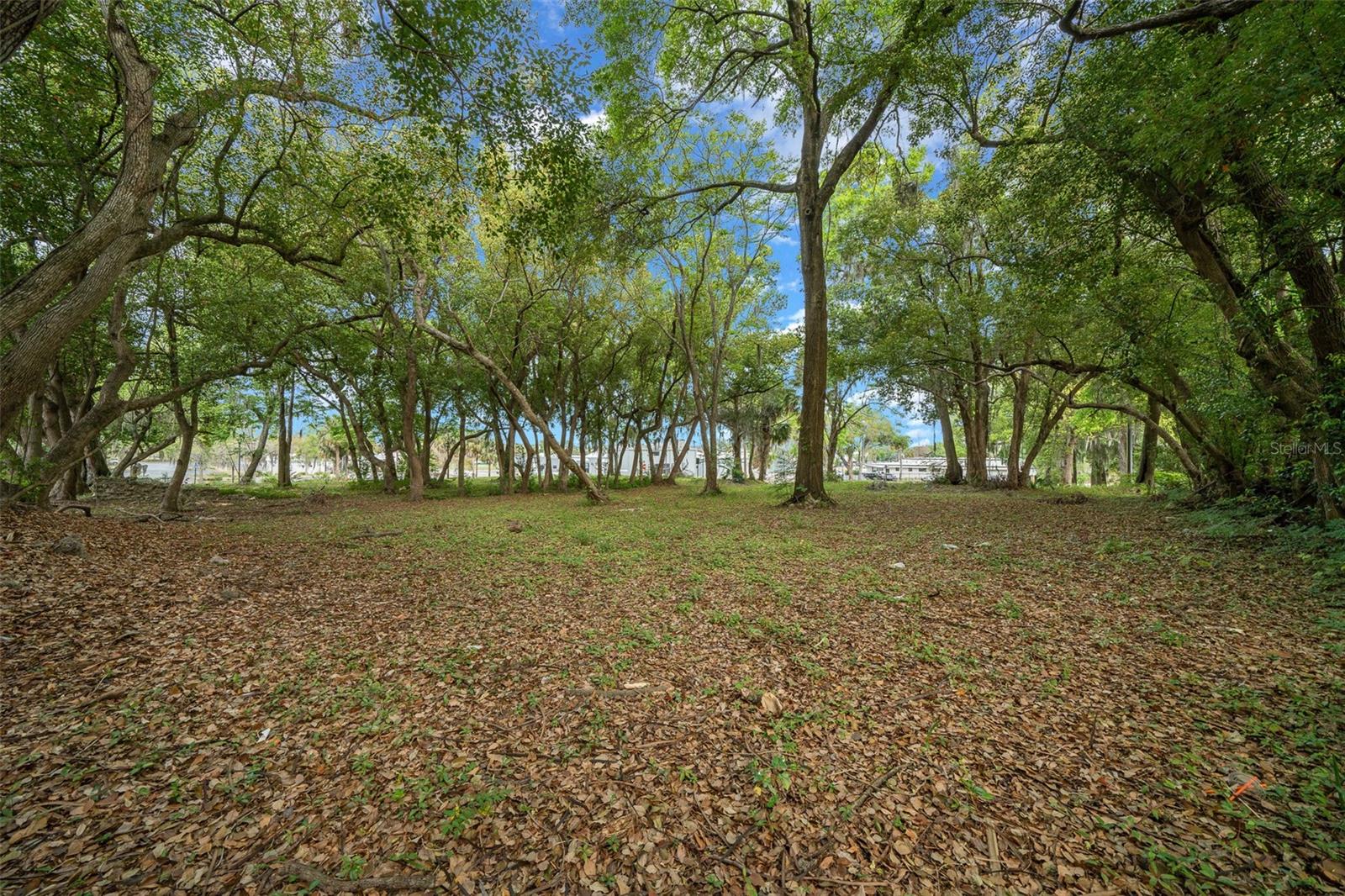 118 NE TUSCAWILLA AVE, OCALA, FL, 34470