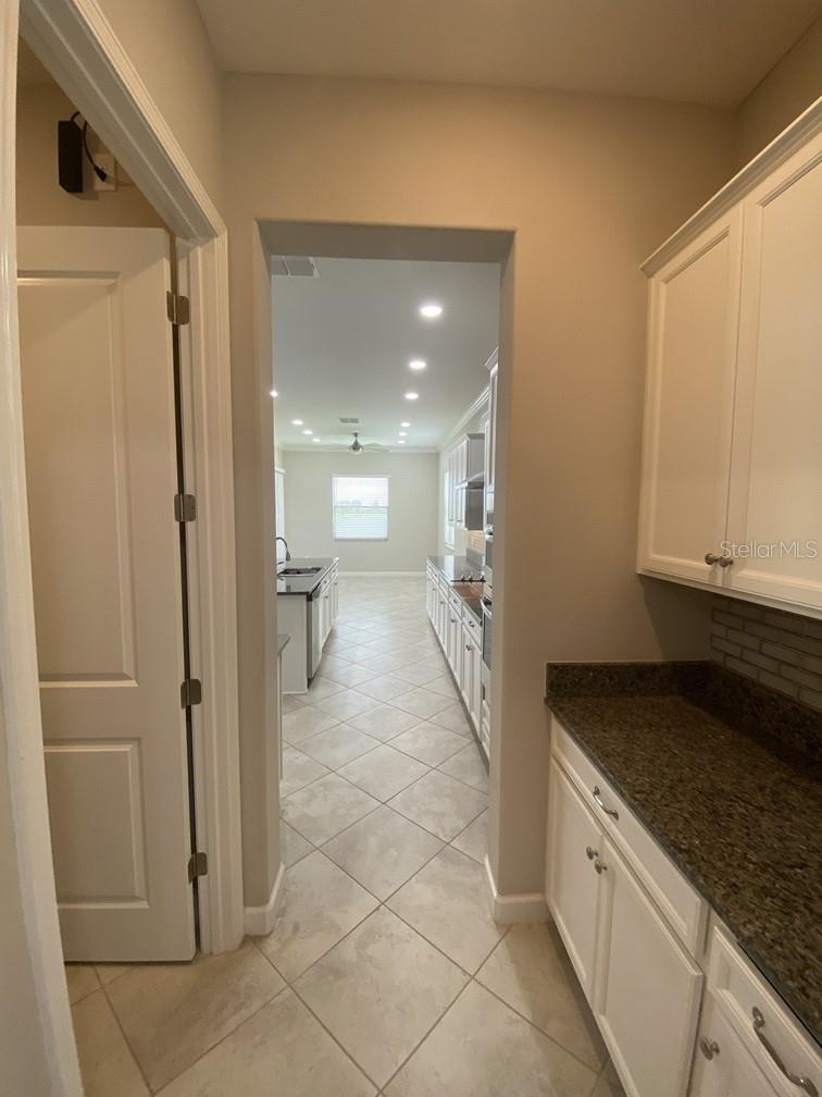16827 BANNER SHELL PL, WIMAUMA, FL, 33598