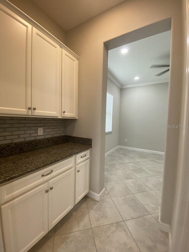 16827 BANNER SHELL PL, WIMAUMA, FL, 33598