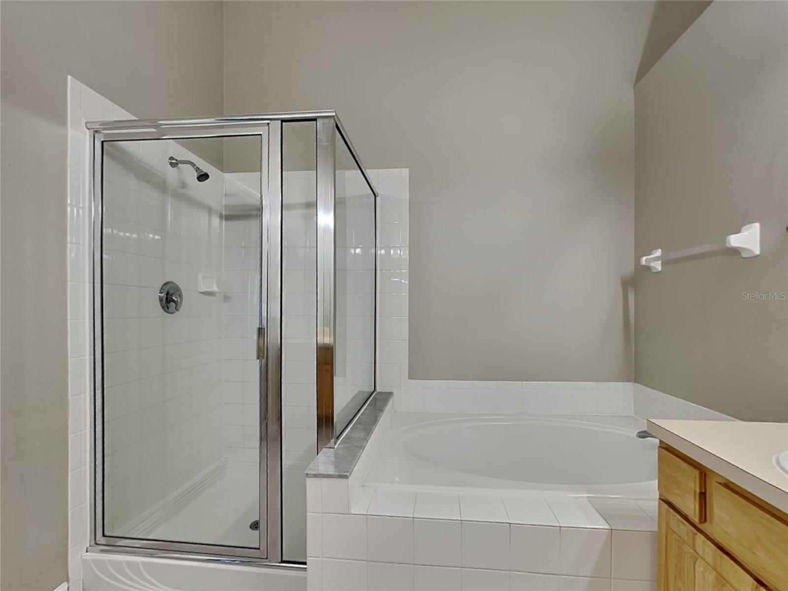 30432 RANDALL MANOR ST, WESLEY CHAPEL, FL, 33545