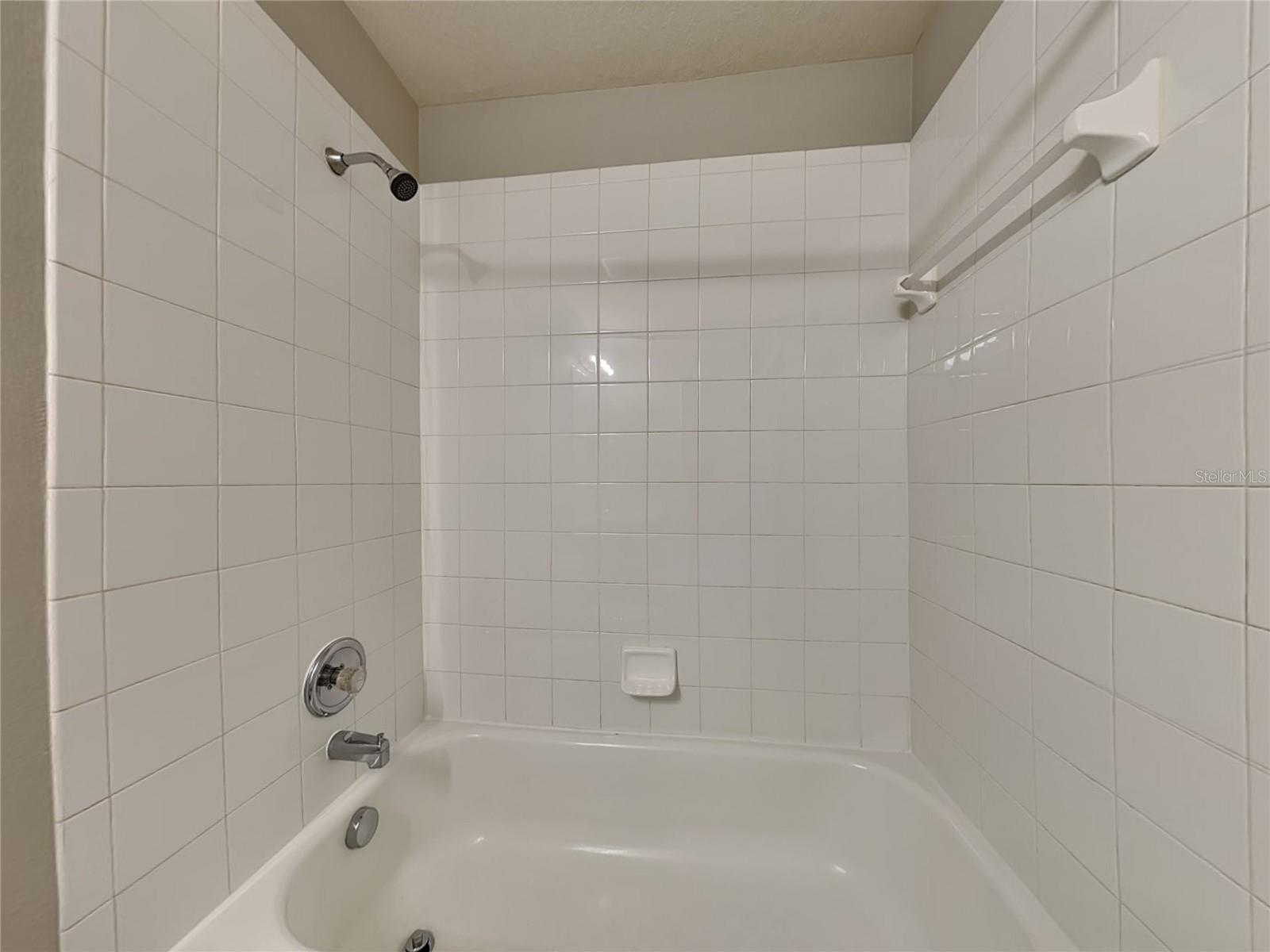 30432 RANDALL MANOR ST, WESLEY CHAPEL, FL, 33545