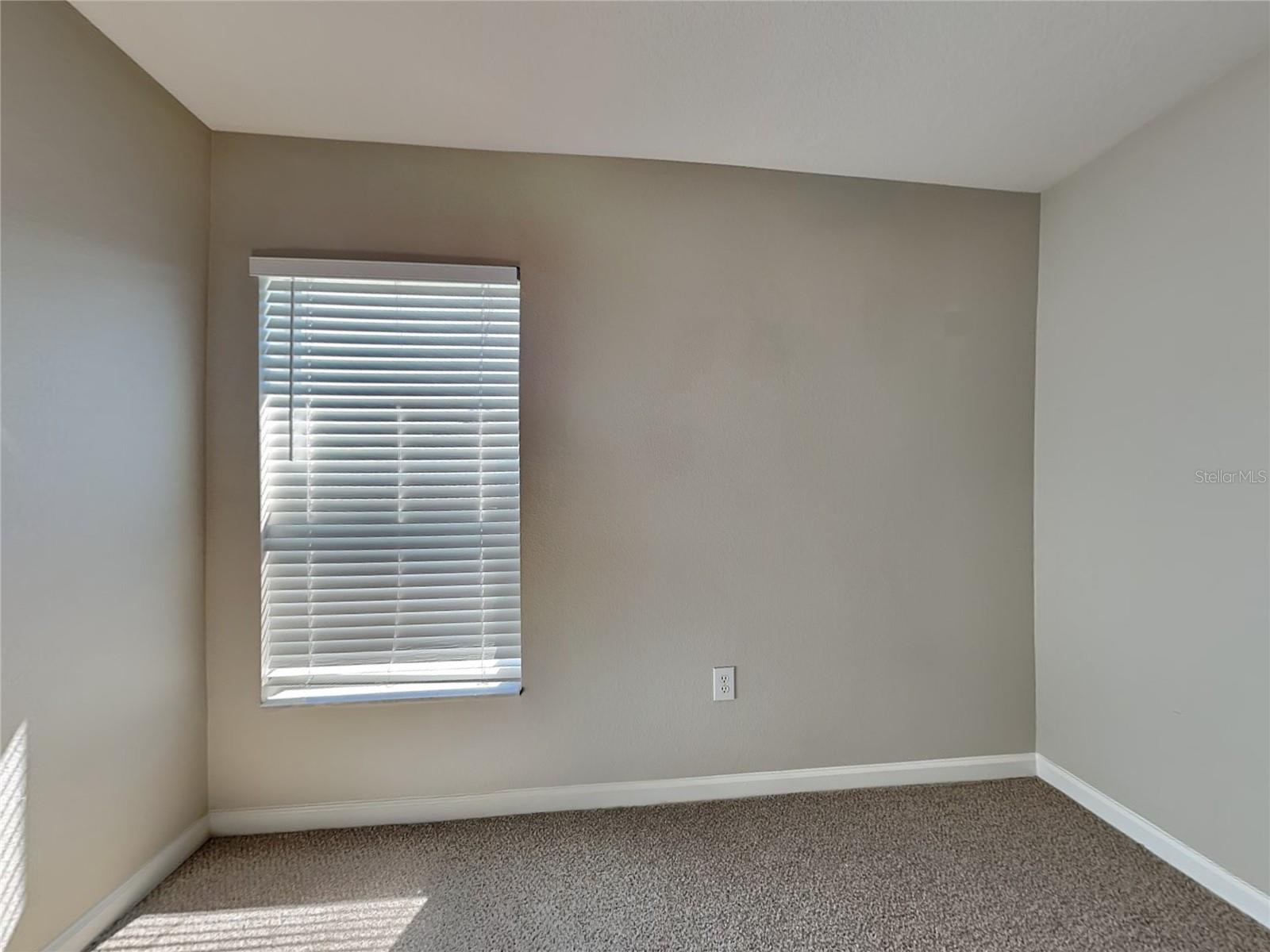 30432 RANDALL MANOR ST, WESLEY CHAPEL, FL, 33545