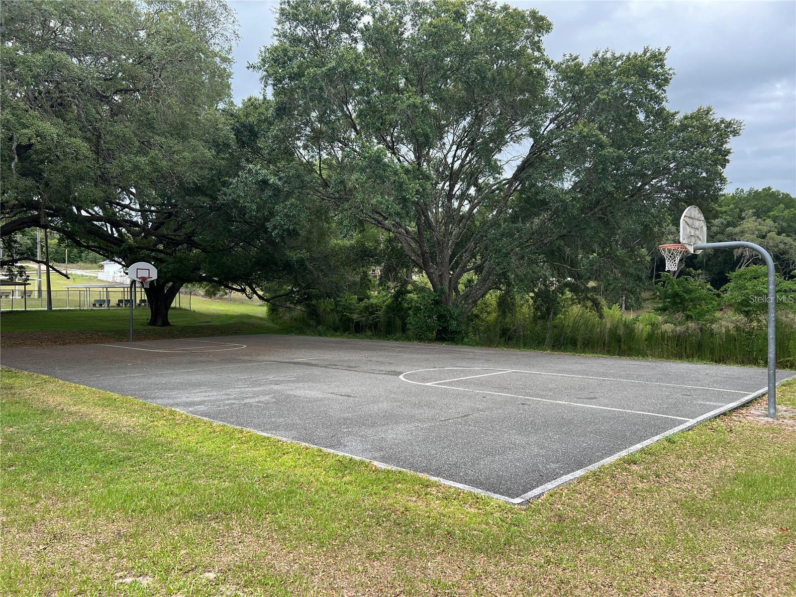 10710 SE 134TH TER, DUNNELLON, FL, 34431