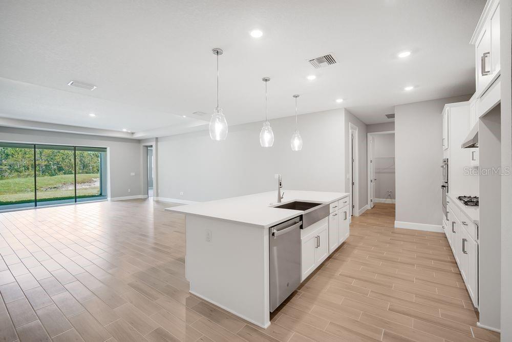 1711 TRAILHEAD LN, ZEPHYRHILLS, FL, 33541