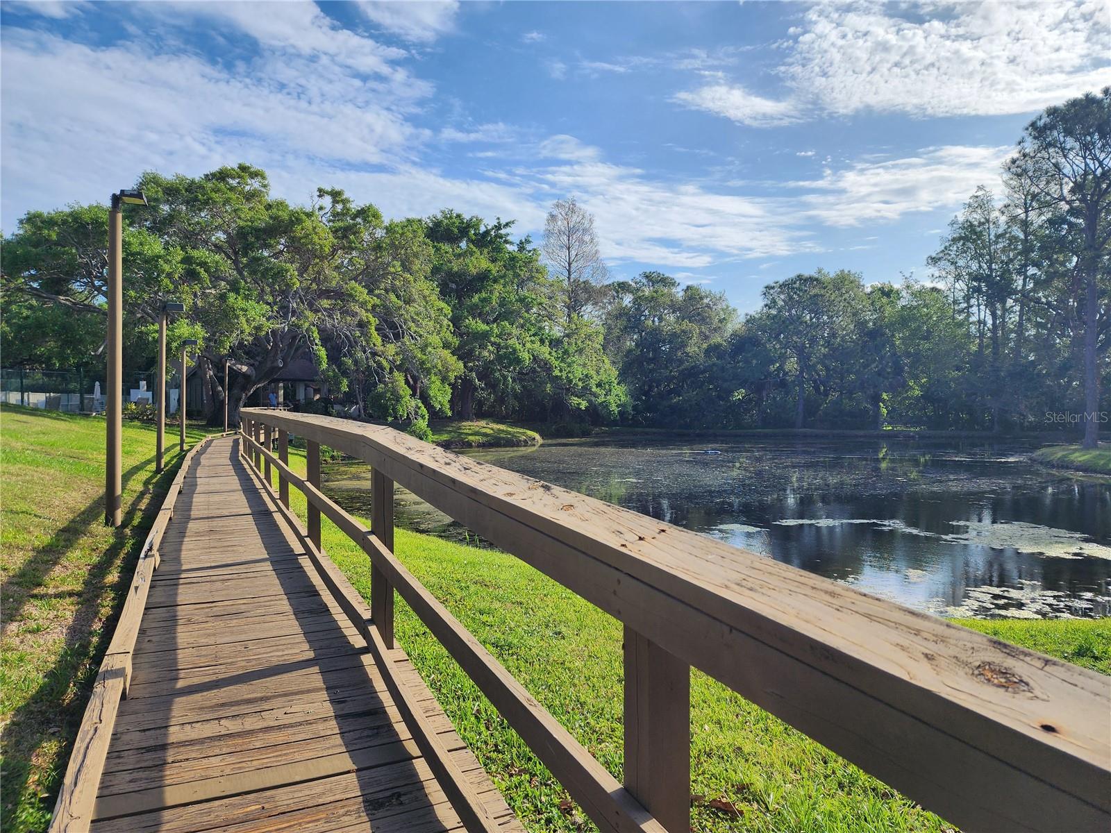 321 PARKSIDE LN, SAFETY HARBOR, FL, 34695