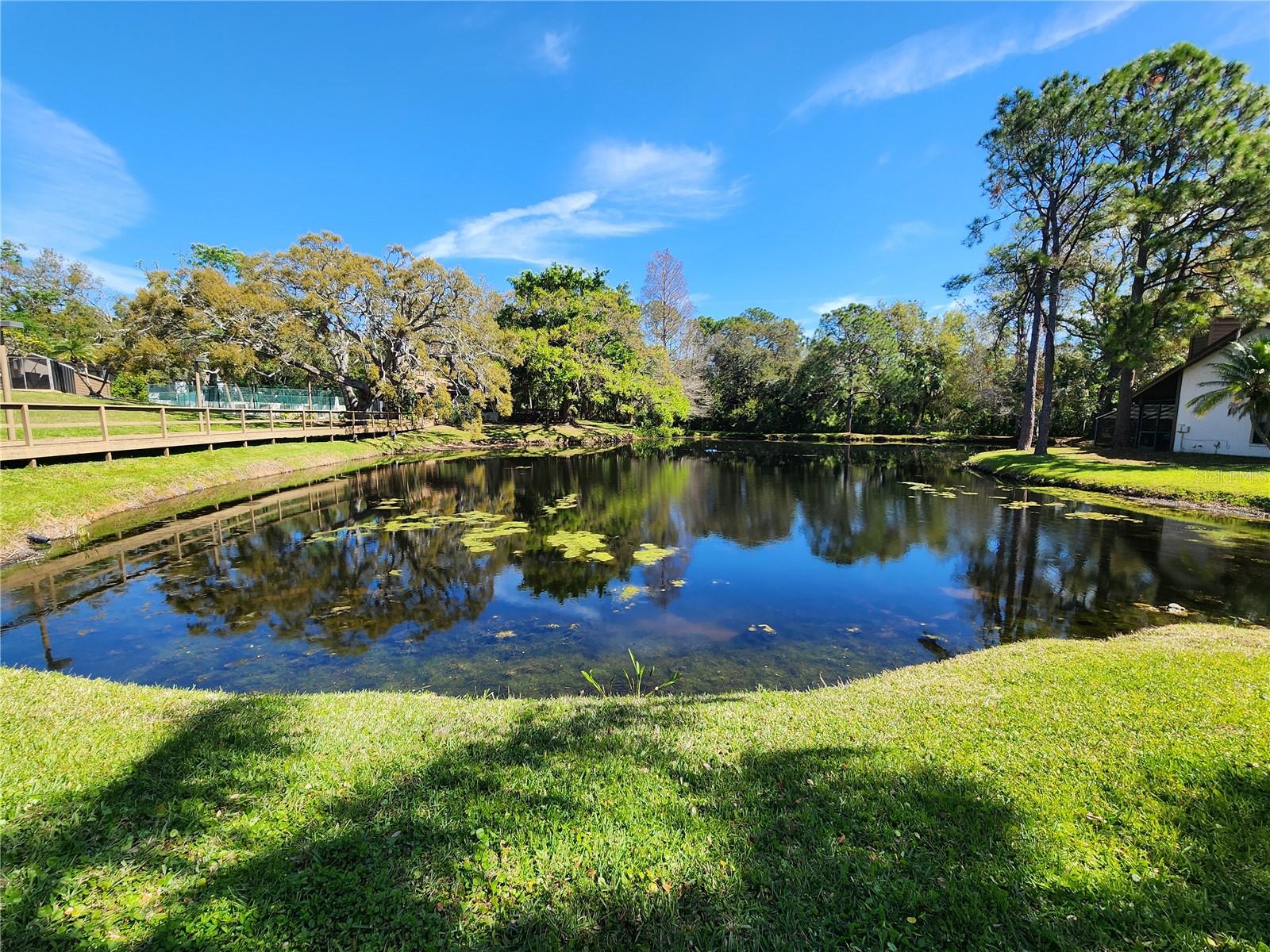 321 PARKSIDE LN, SAFETY HARBOR, FL, 34695