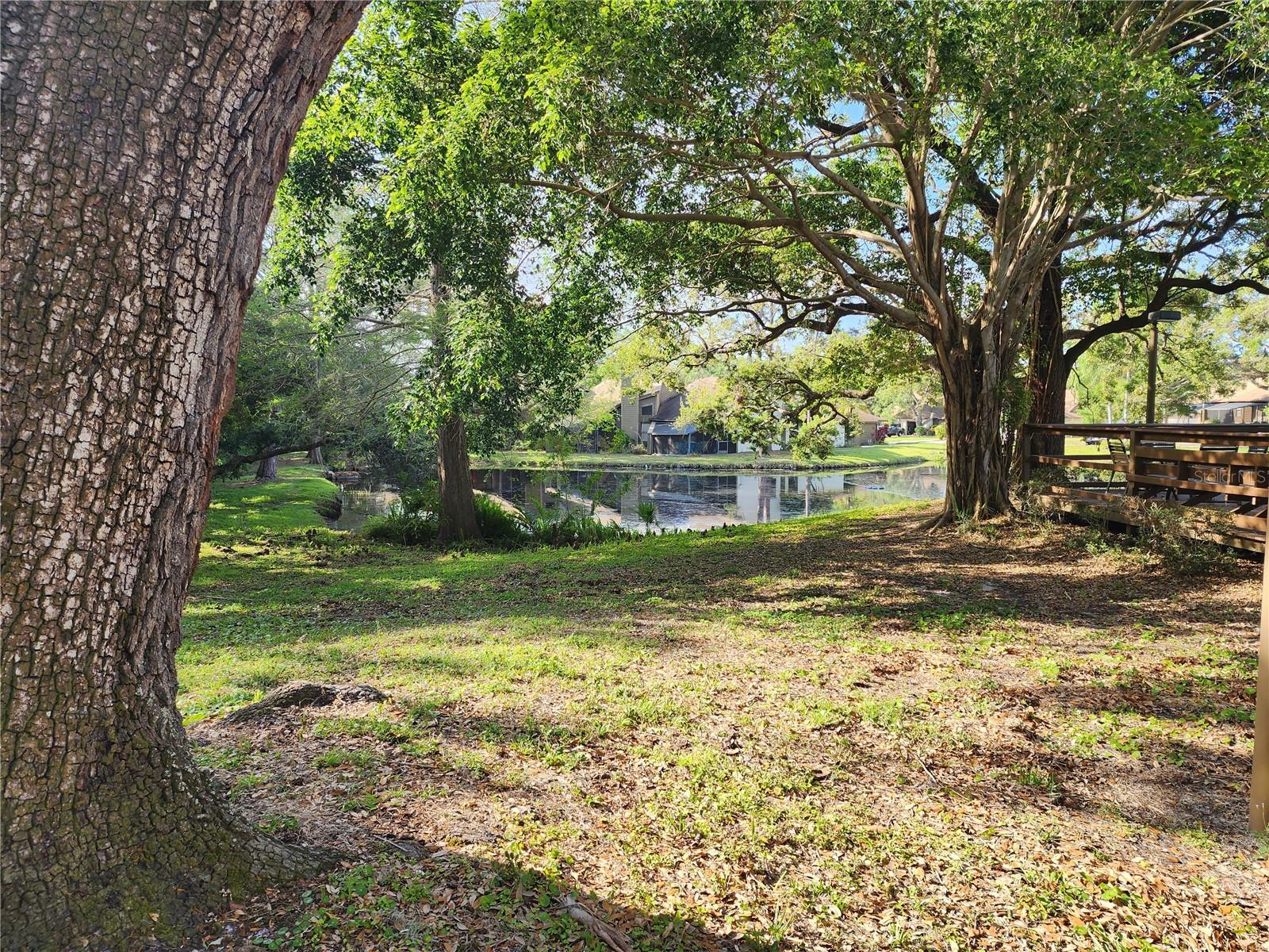 321 PARKSIDE LN, SAFETY HARBOR, FL, 34695