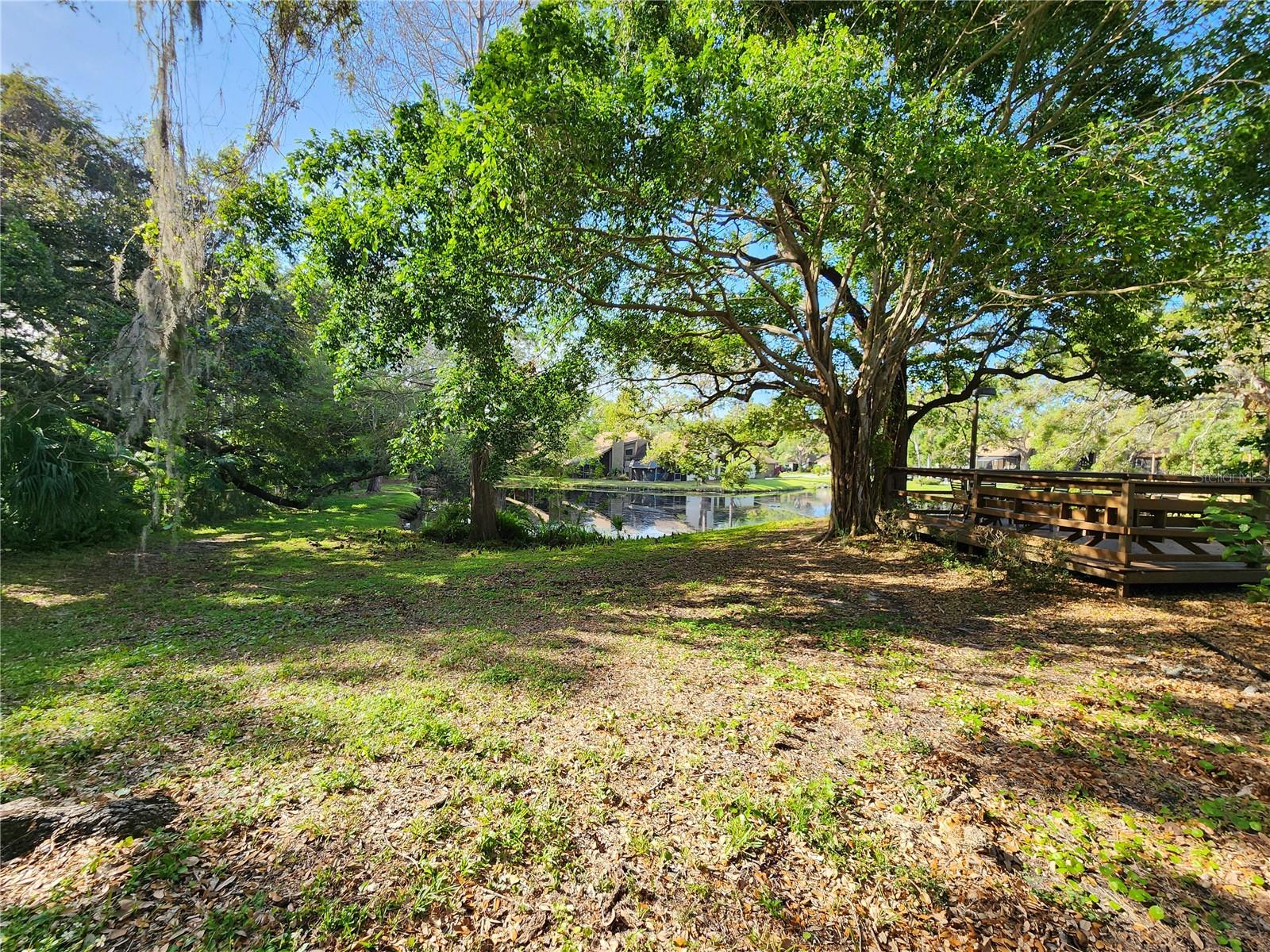 321 PARKSIDE LN, SAFETY HARBOR, FL, 34695