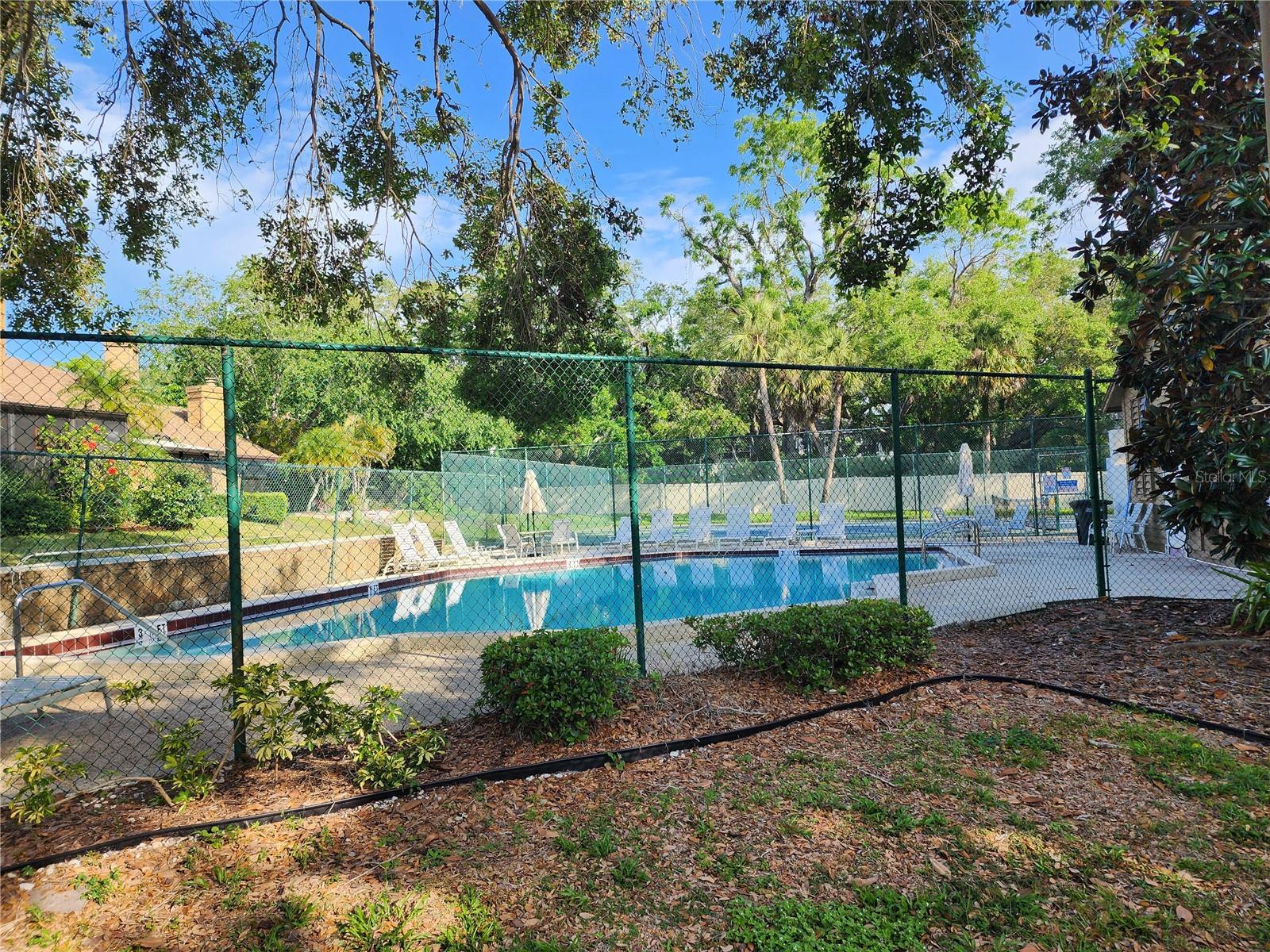 321 PARKSIDE LN, SAFETY HARBOR, FL, 34695