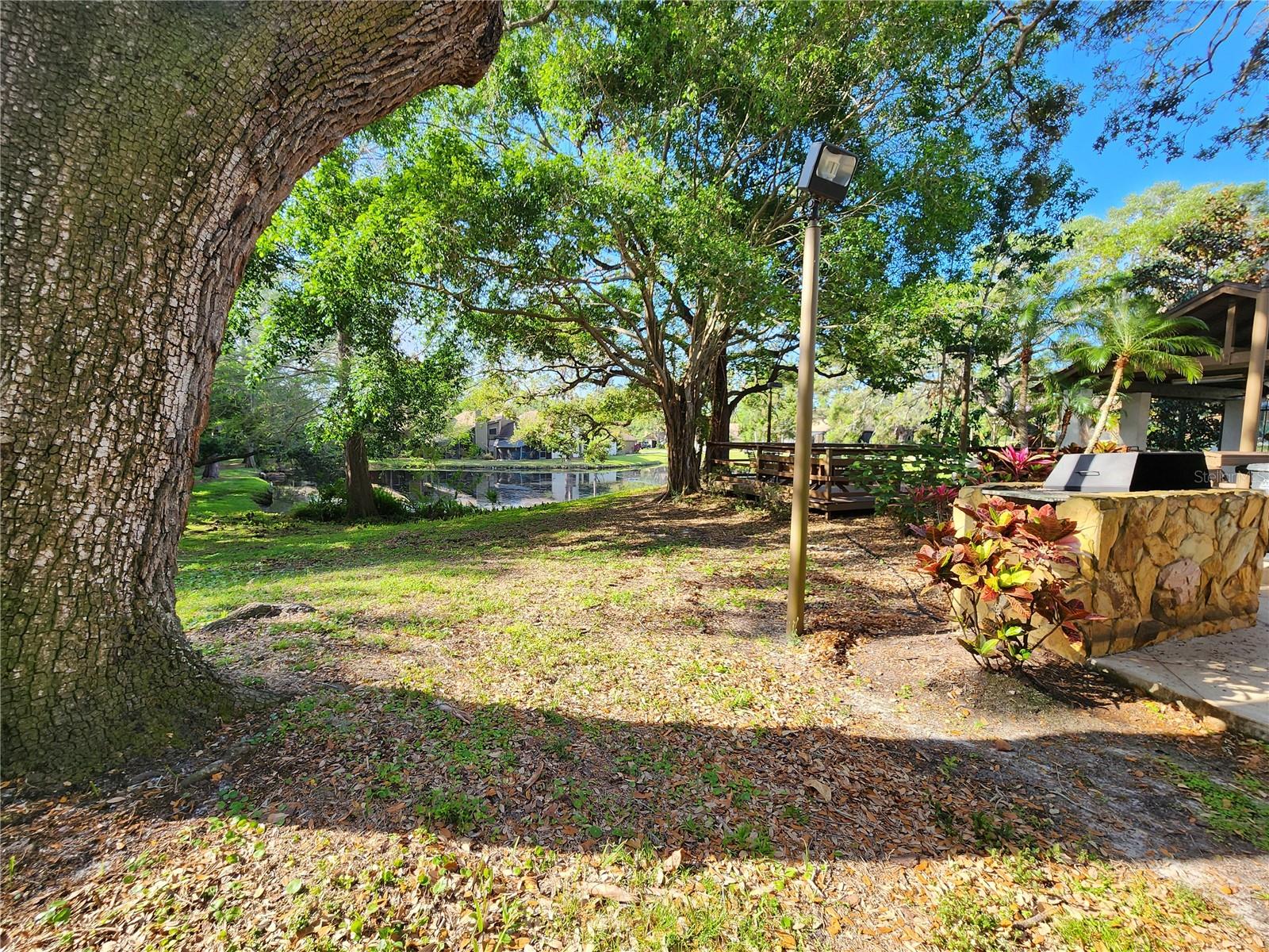 321 PARKSIDE LN, SAFETY HARBOR, FL, 34695