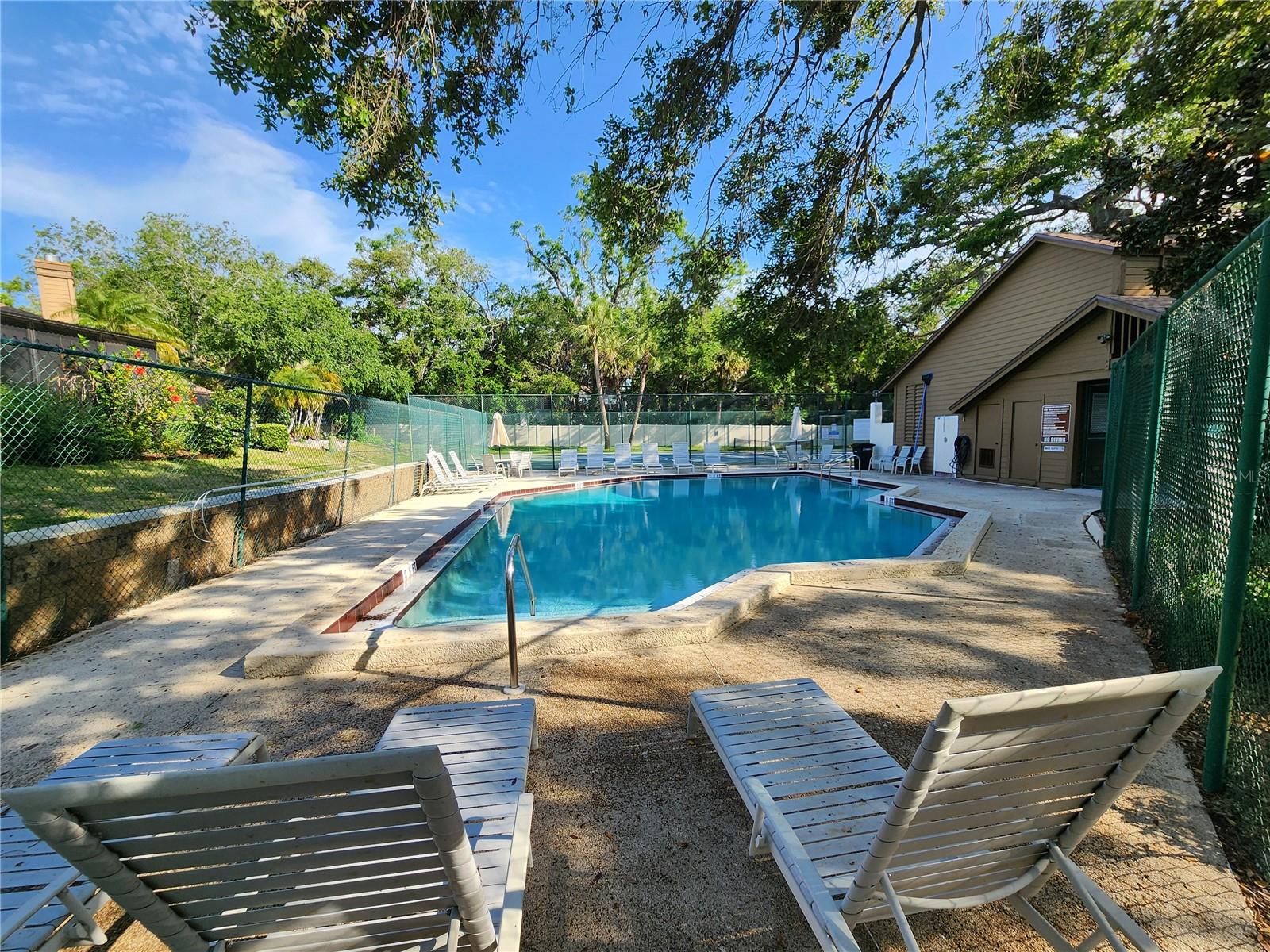 321 PARKSIDE LN, SAFETY HARBOR, FL, 34695