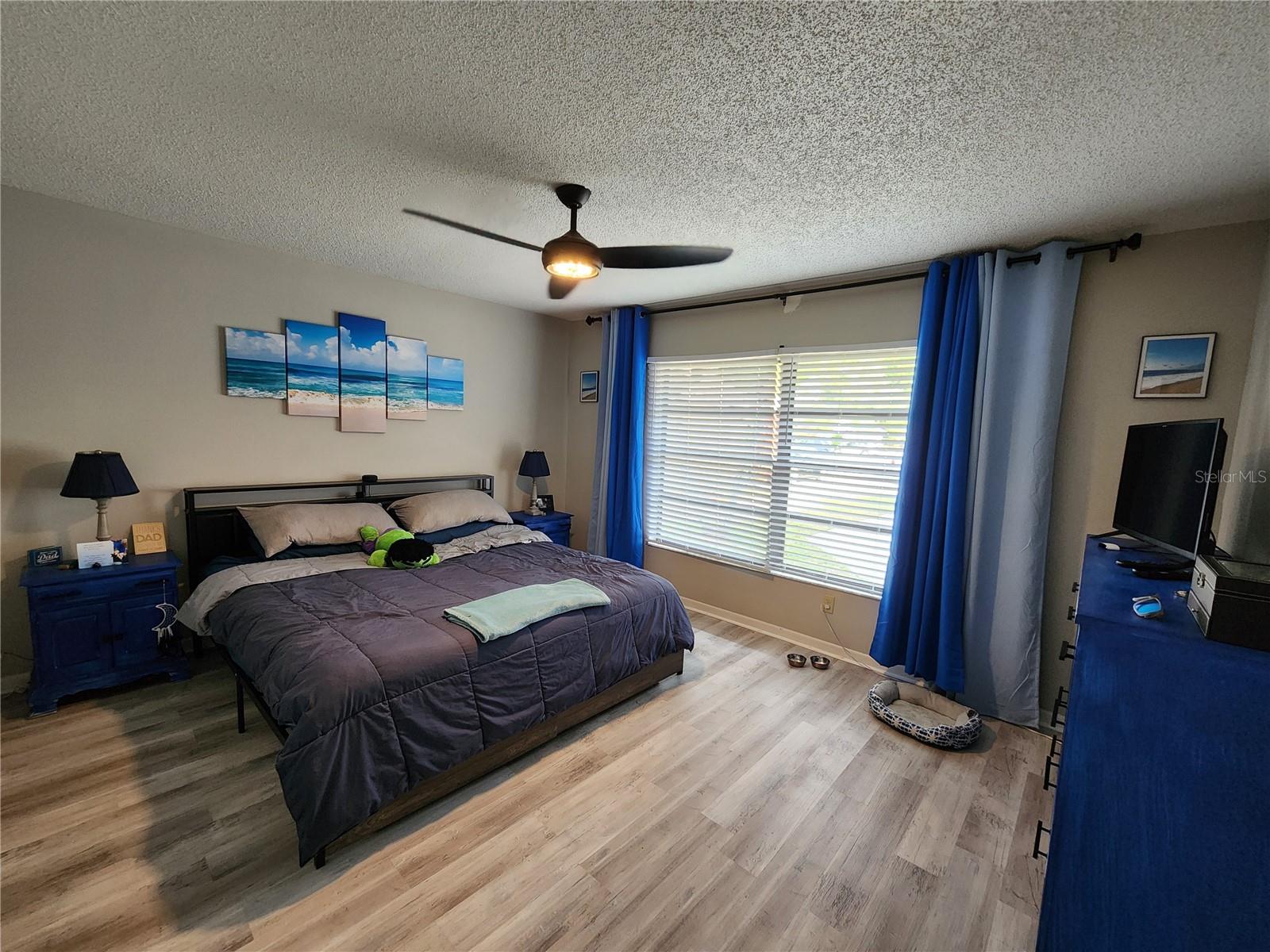 321 PARKSIDE LN, SAFETY HARBOR, FL, 34695