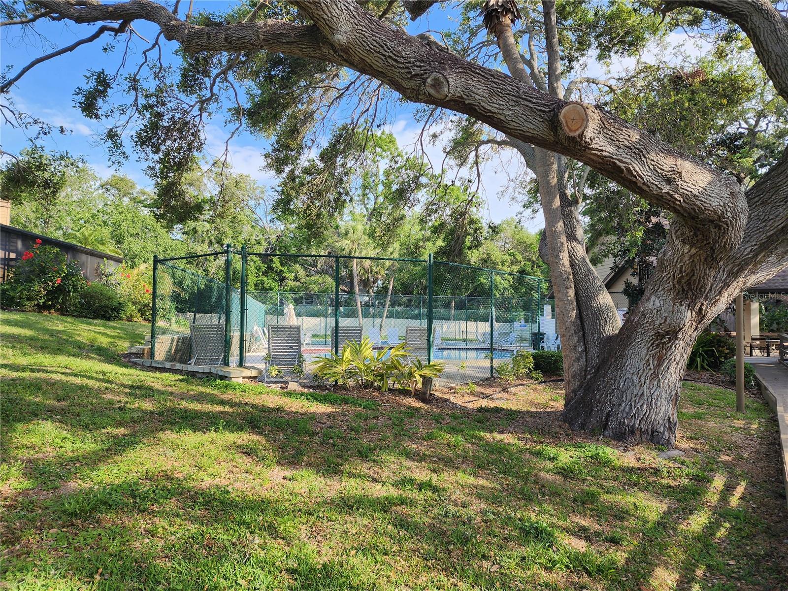 321 PARKSIDE LN, SAFETY HARBOR, FL, 34695