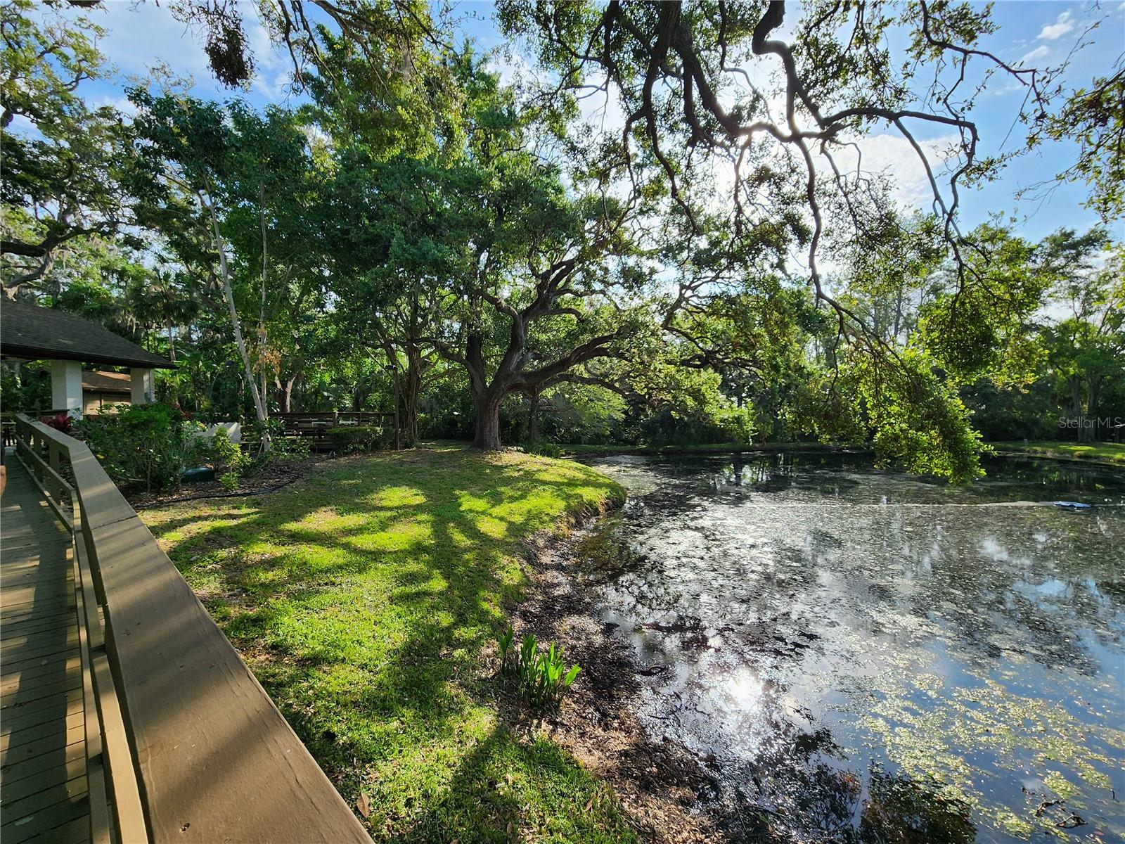 321 PARKSIDE LN, SAFETY HARBOR, FL, 34695