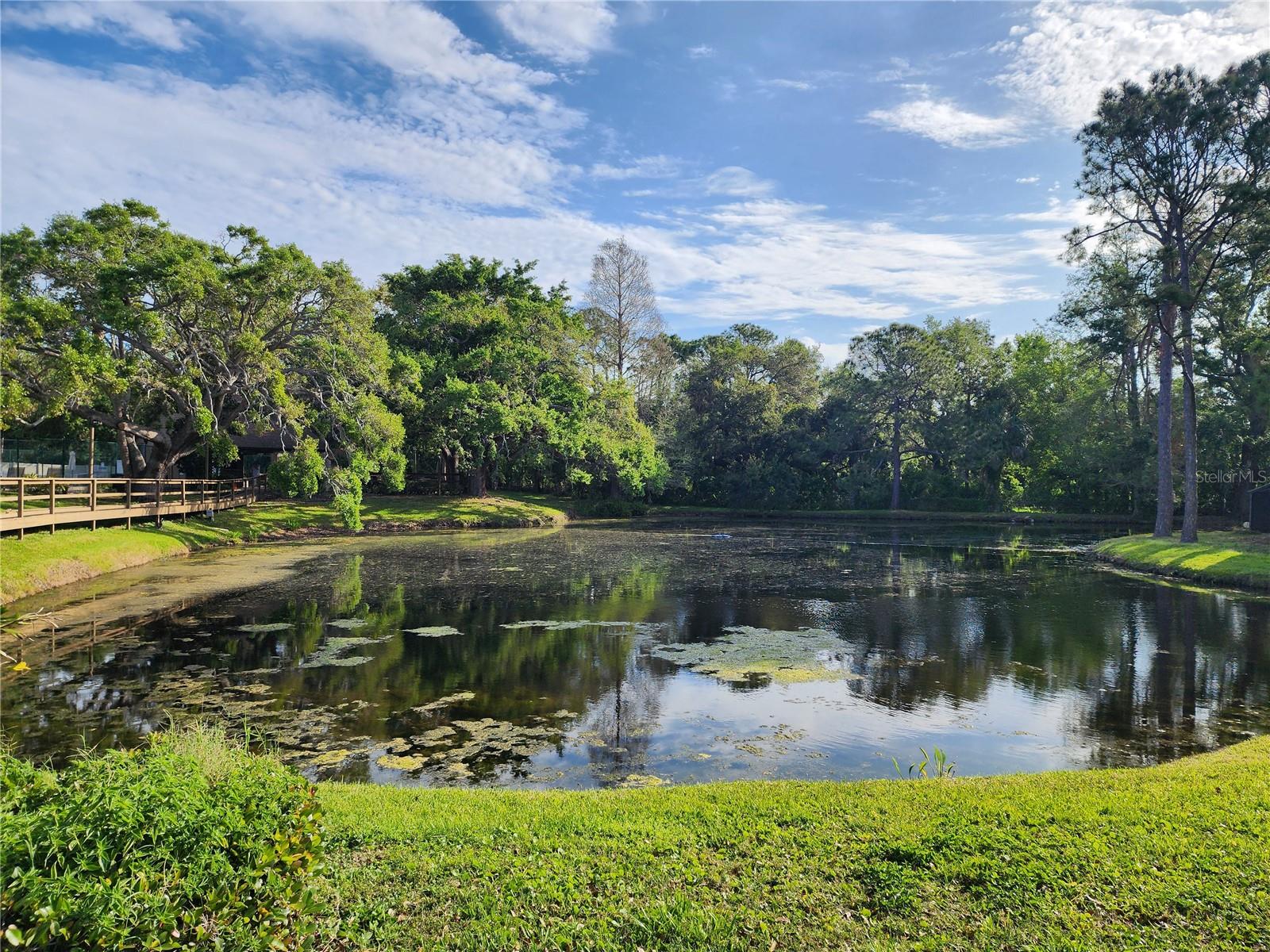 321 PARKSIDE LN, SAFETY HARBOR, FL, 34695