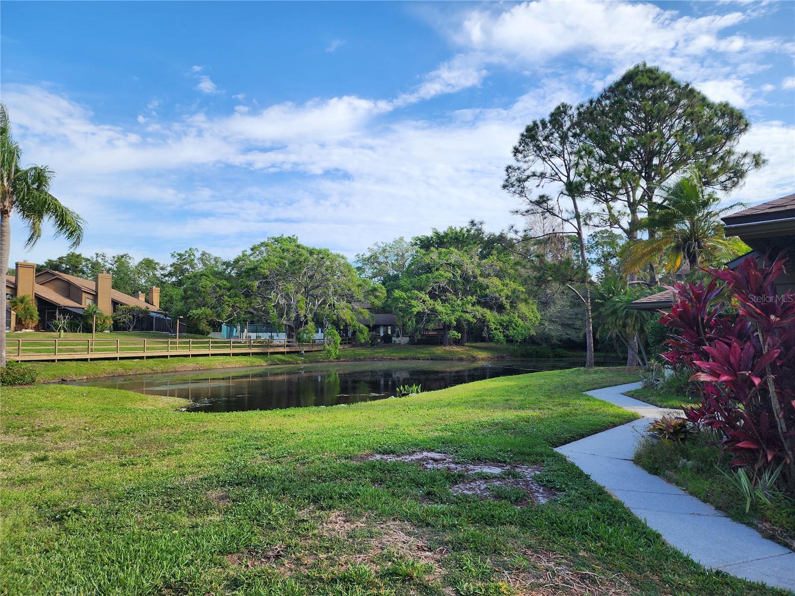 321 PARKSIDE LN, SAFETY HARBOR, FL, 34695
