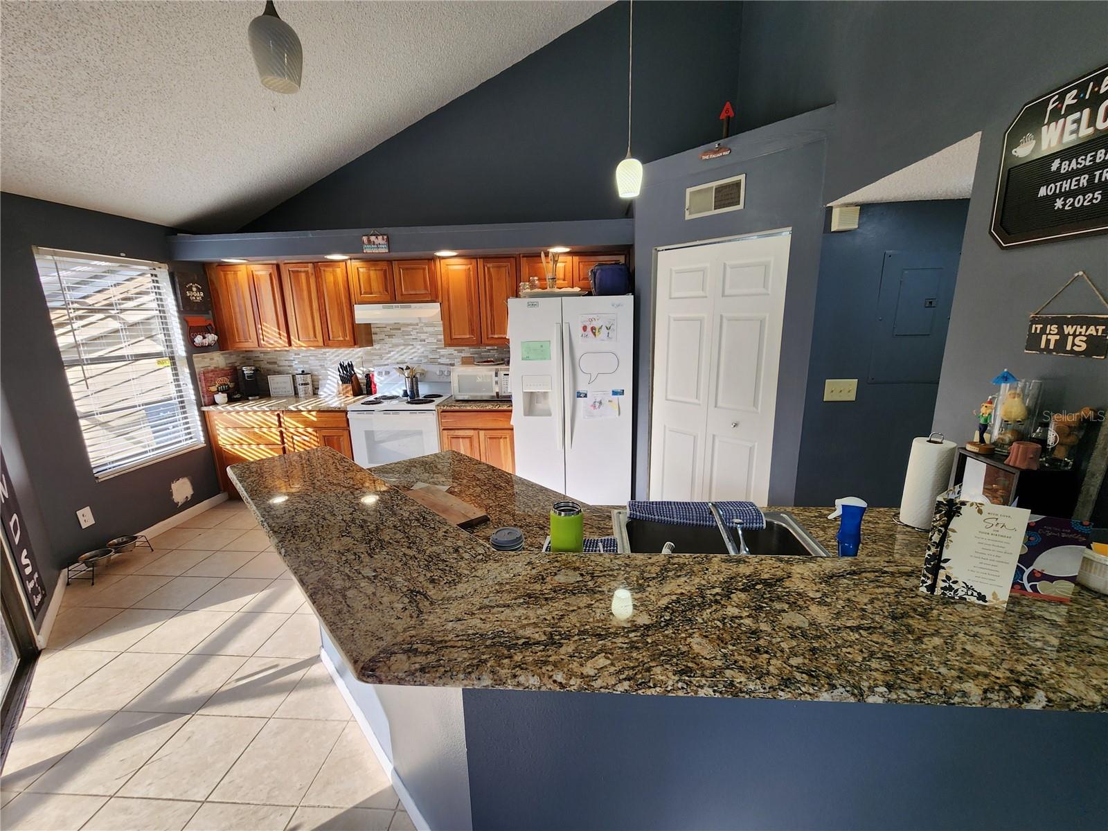 321 PARKSIDE LN, SAFETY HARBOR, FL, 34695