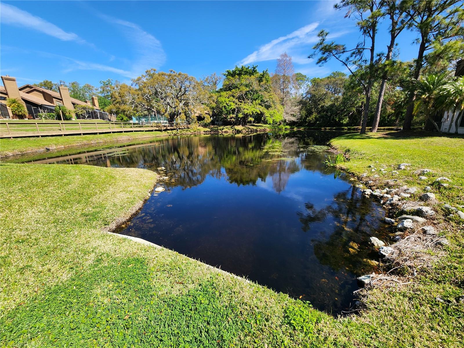 321 PARKSIDE LN, SAFETY HARBOR, FL, 34695