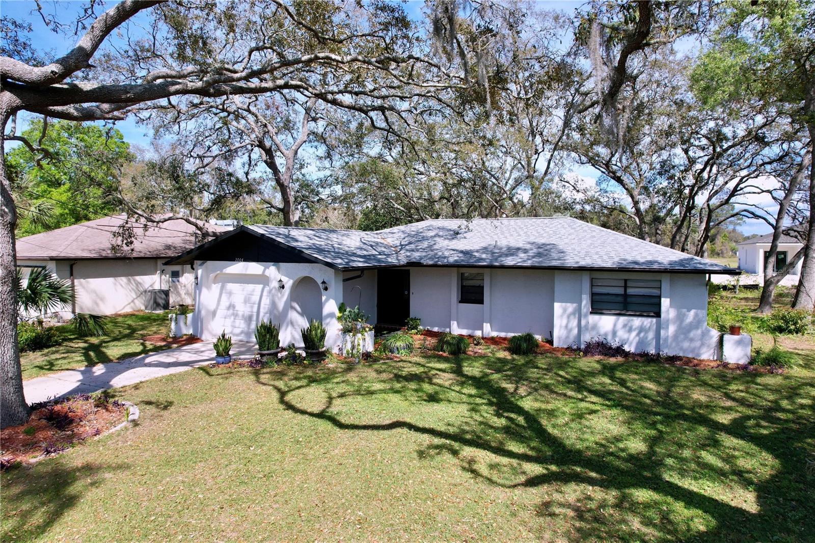 2004 NOBLETON AVE, SPRING HILL, FL, 34608